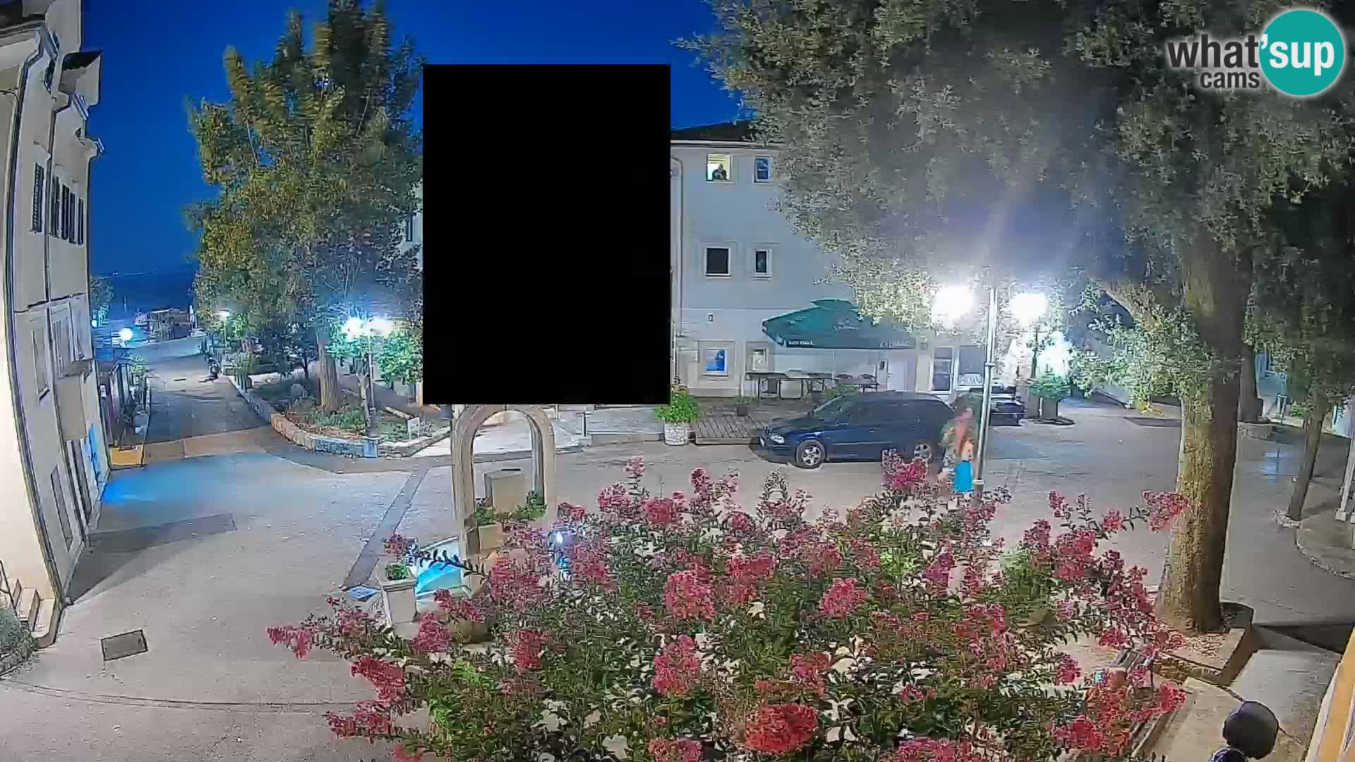 Webcam Centro Draga di Moschiena – Vista live sul centro