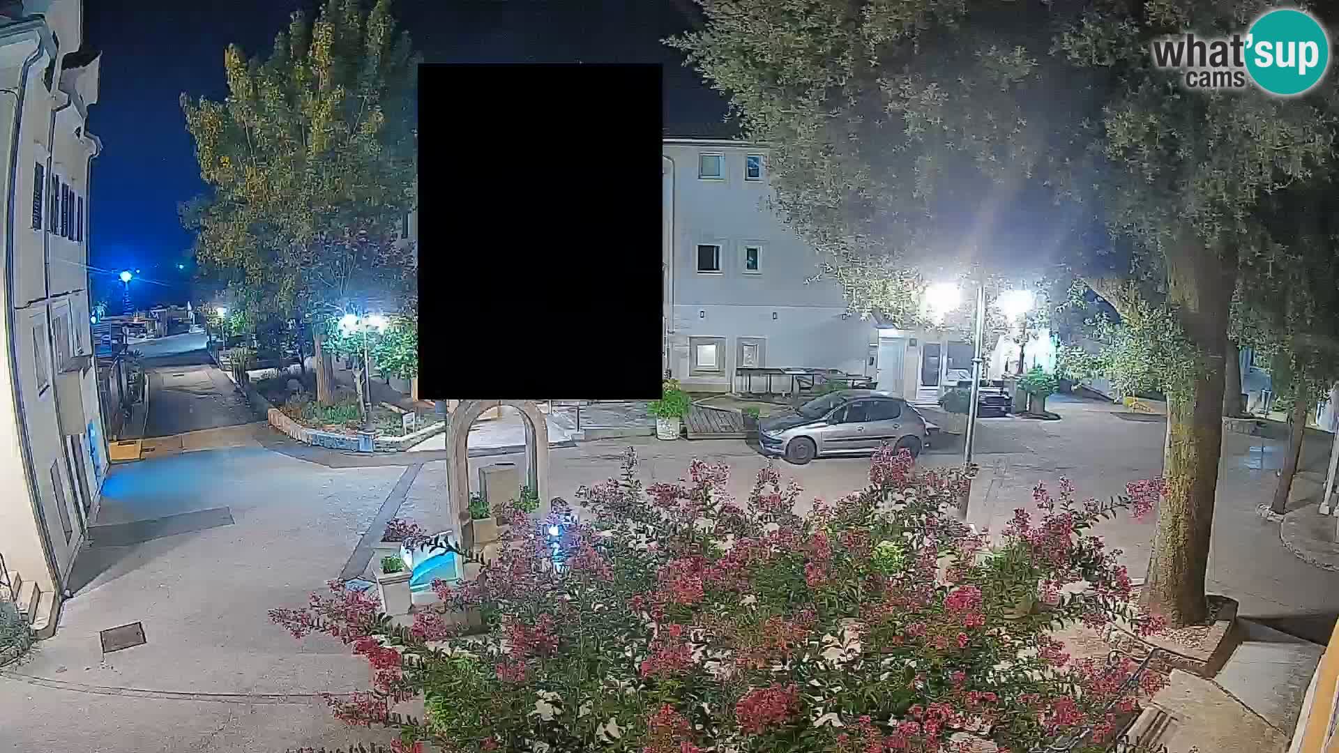 Webcam Centro Draga di Moschiena – Vista live sul centro