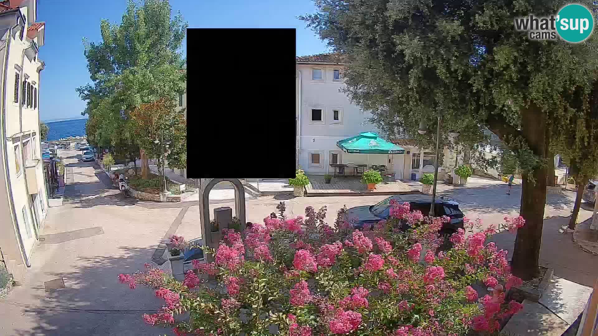 Webcam Centro Draga di Moschiena – Vista live sul centro