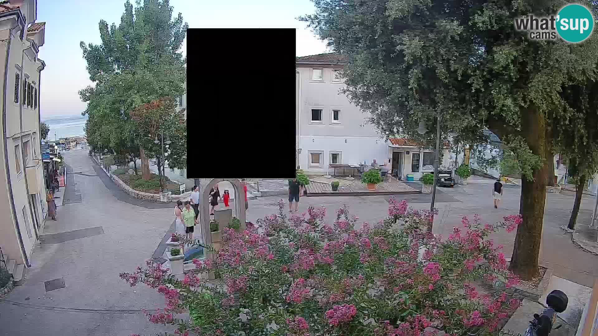 Webcam Centro Draga di Moschiena – Vista live sul centro