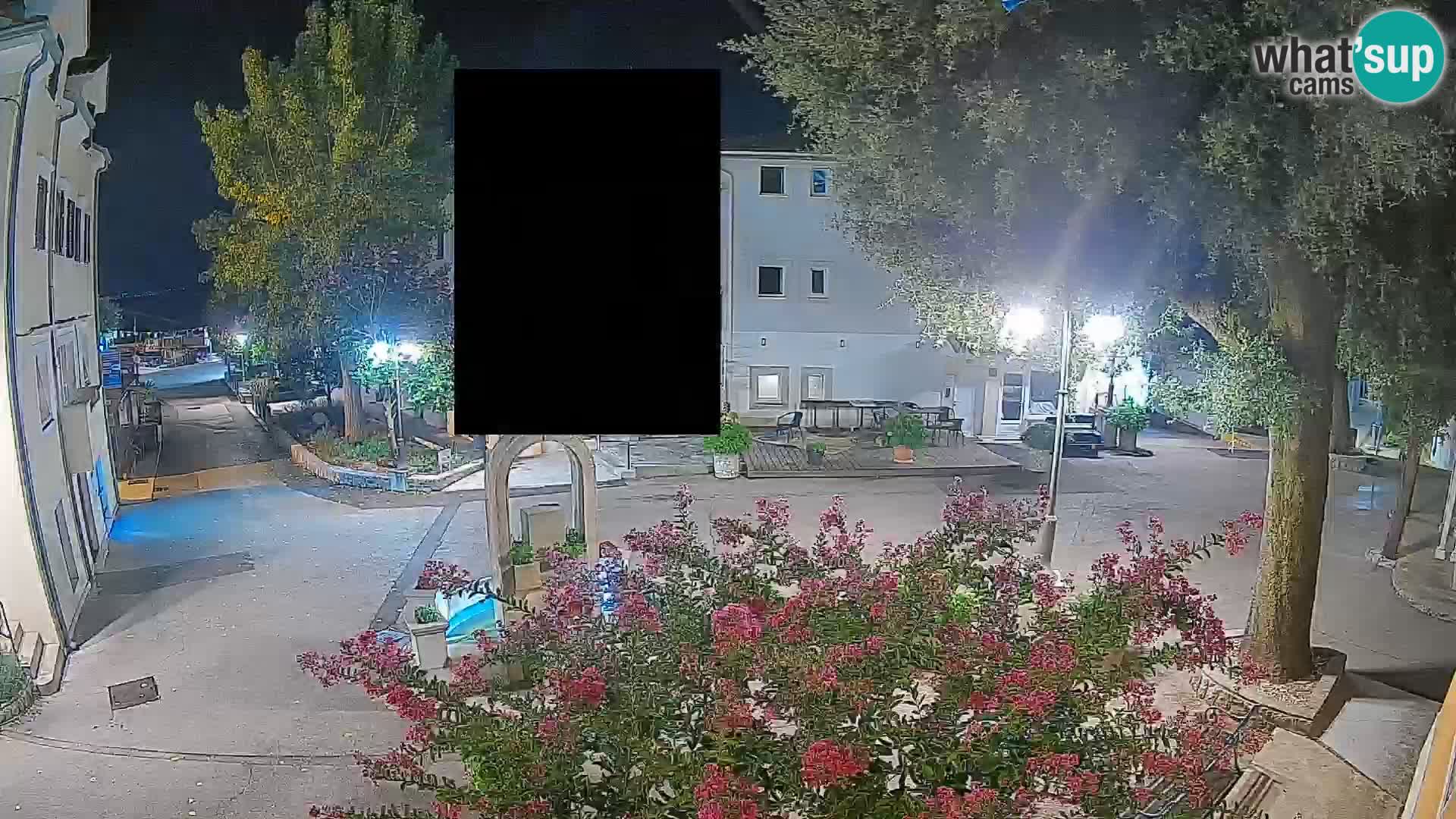 Webcam Centro Draga di Moschiena – Vista live sul centro