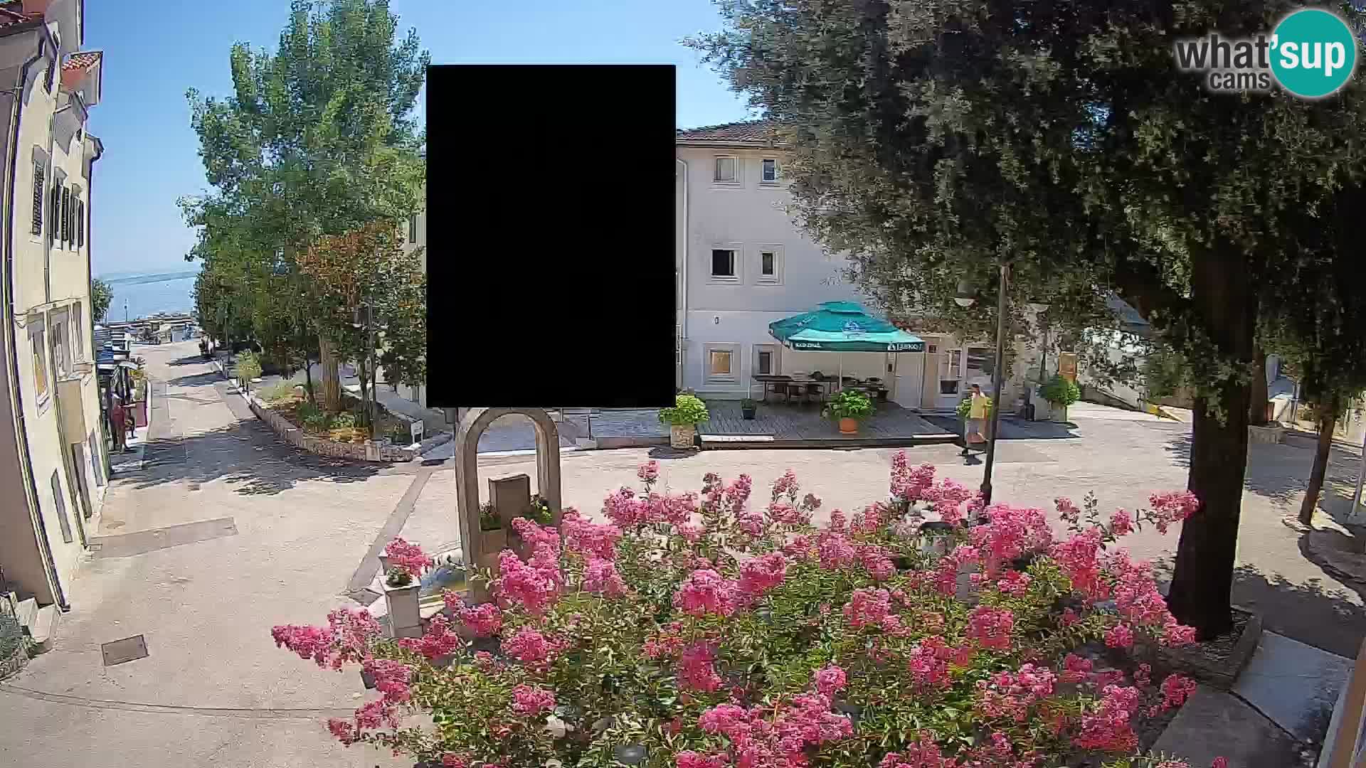Webcam Centro Draga di Moschiena – Vista live sul centro