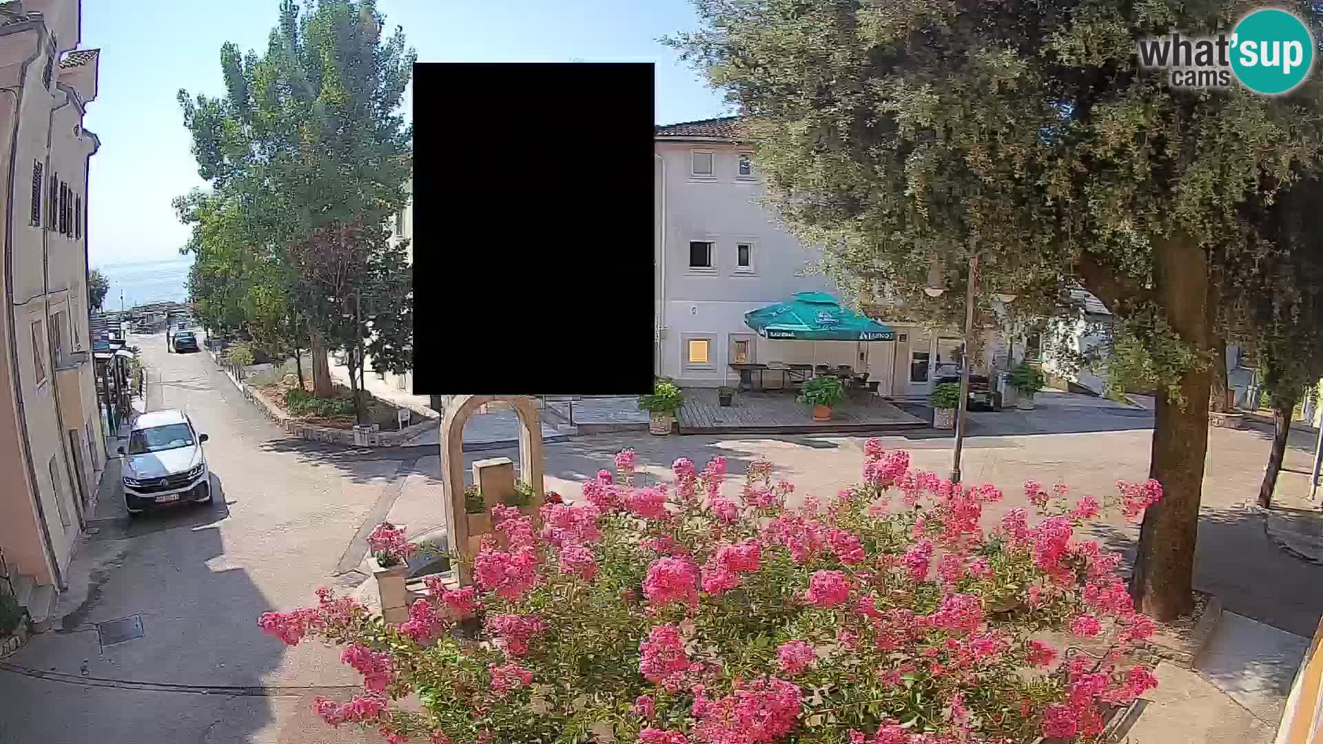 Webcam Centro Draga di Moschiena – Vista live sul centro