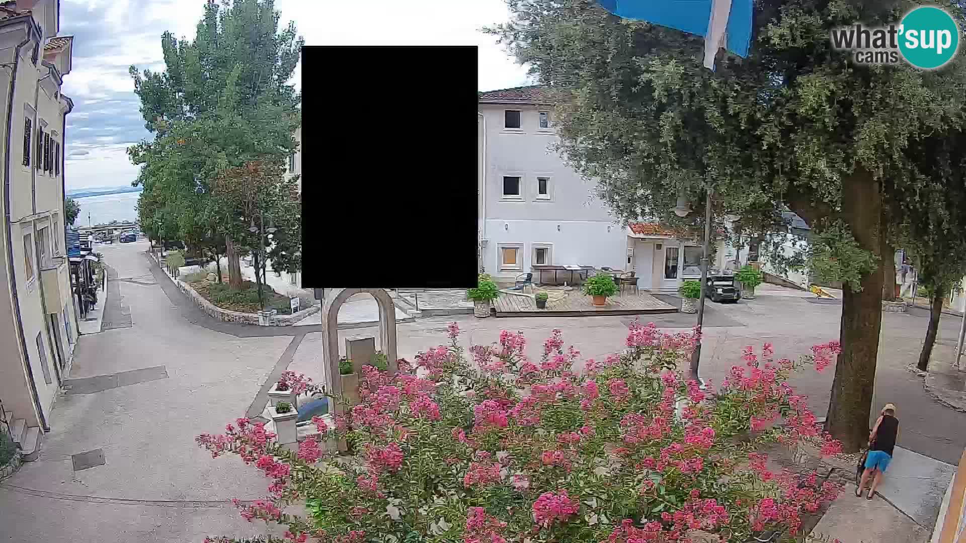 Webcam Centro Draga di Moschiena – Vista live sul centro