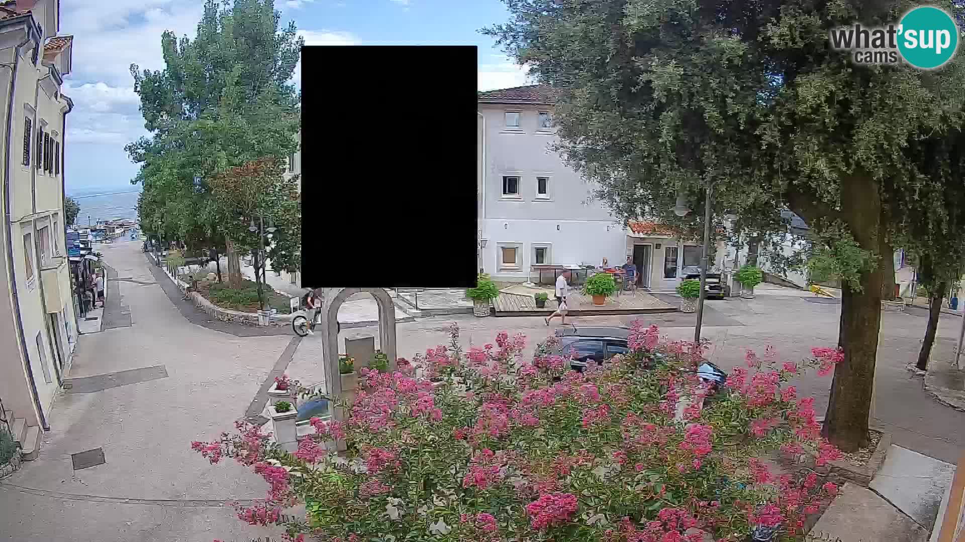 Webcam Centro Draga di Moschiena – Vista live sul centro