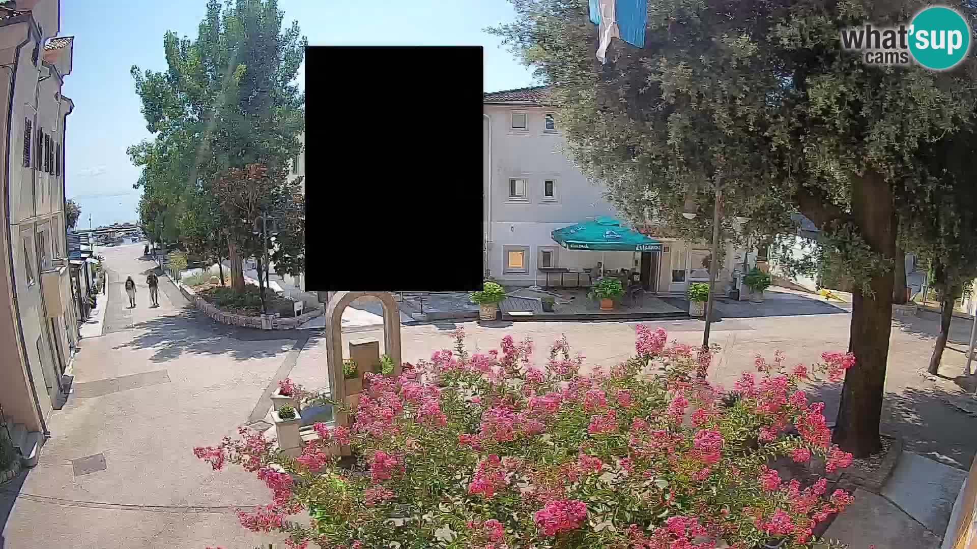 Webcam Centro Draga di Moschiena – Vista live sul centro