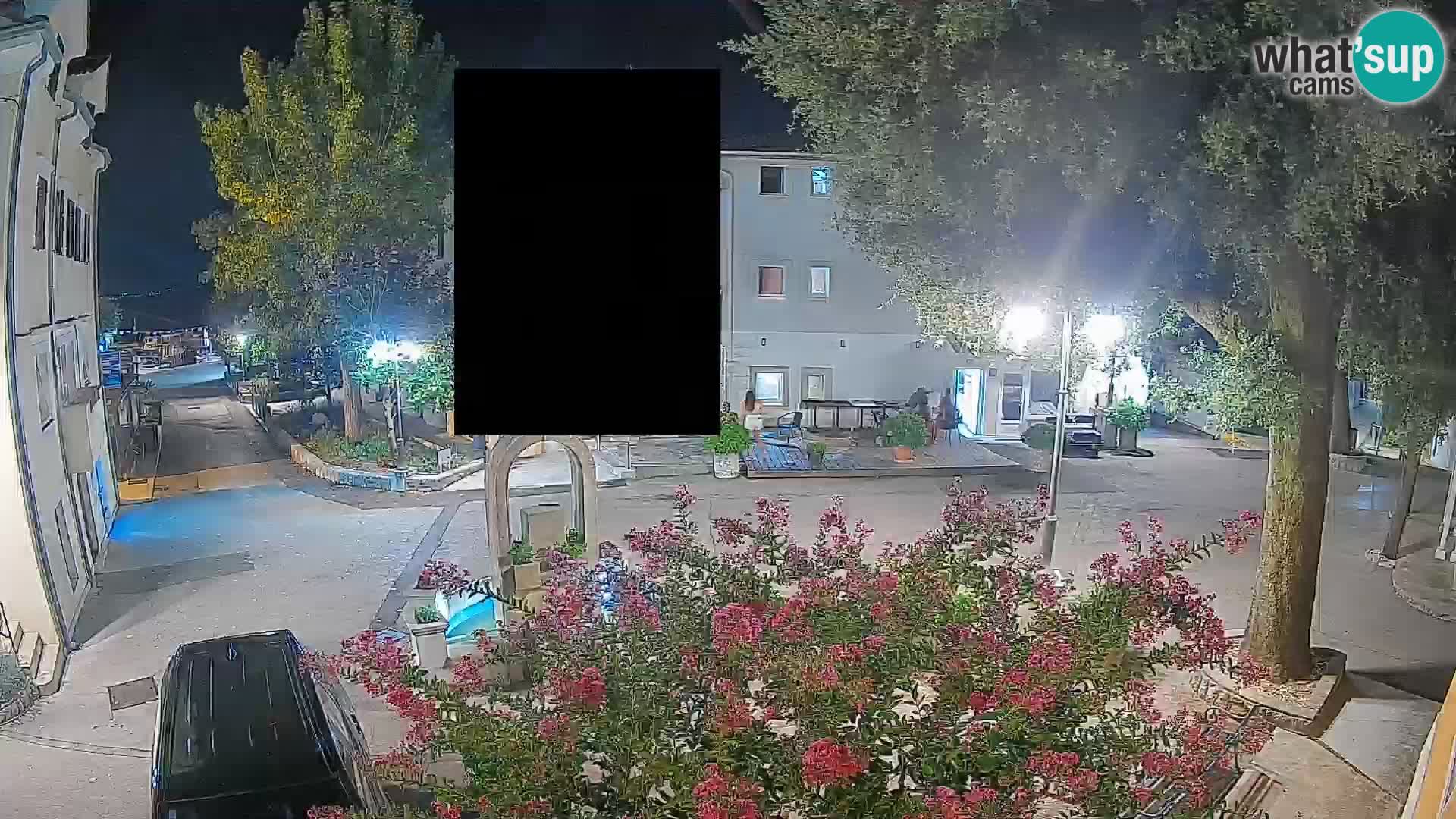 Webcam Centro Draga di Moschiena – Vista live sul centro