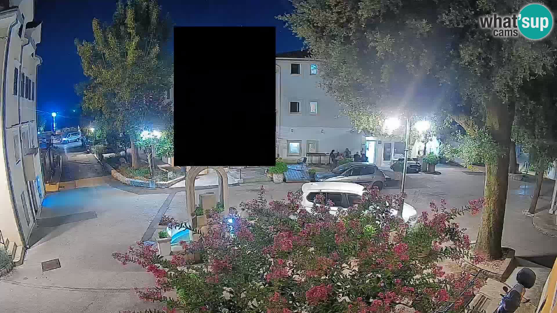 Webcam Centro Draga di Moschiena – Vista live sul centro