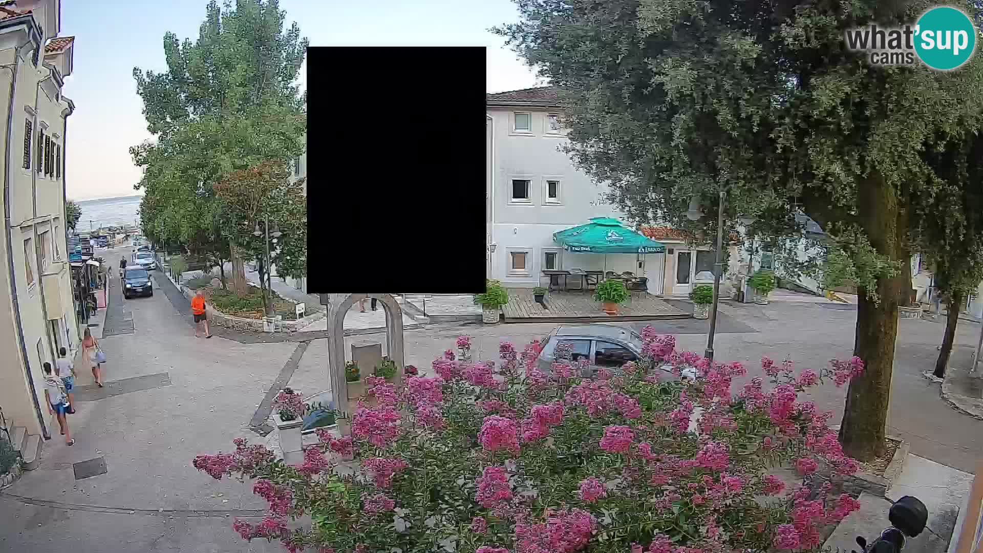 Webcam Centro Draga di Moschiena – Vista live sul centro