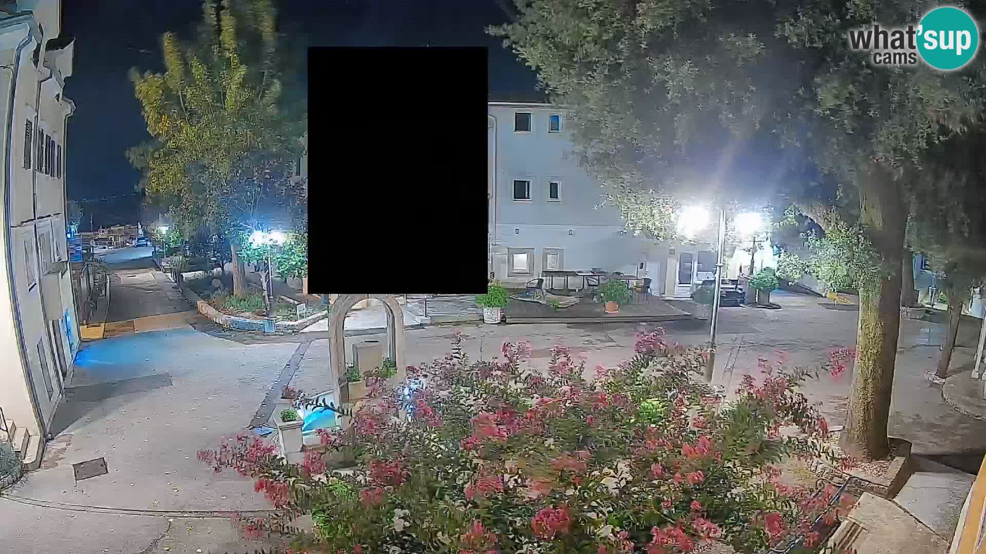 Webcam Centro Draga di Moschiena – Vista live sul centro