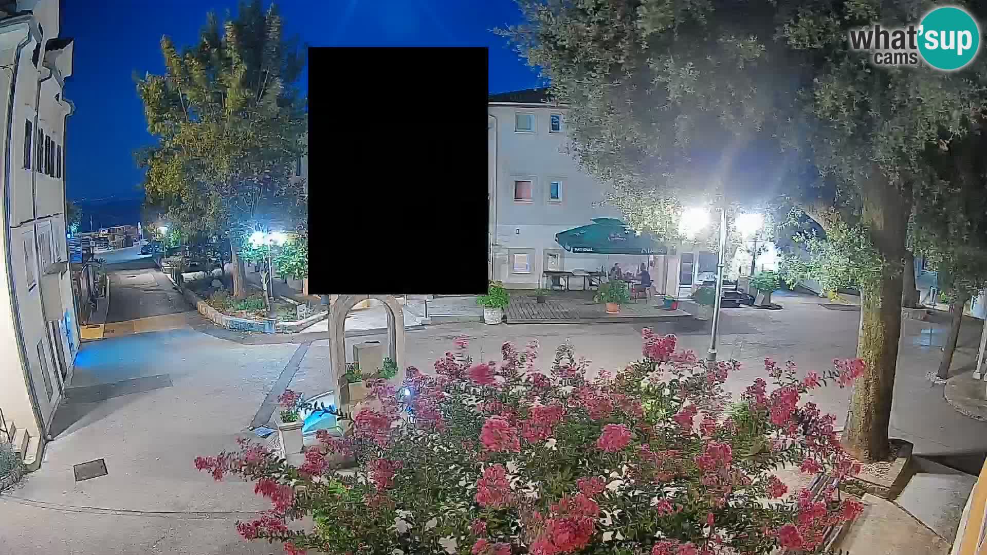 Webcam Centro Draga di Moschiena – Vista live sul centro