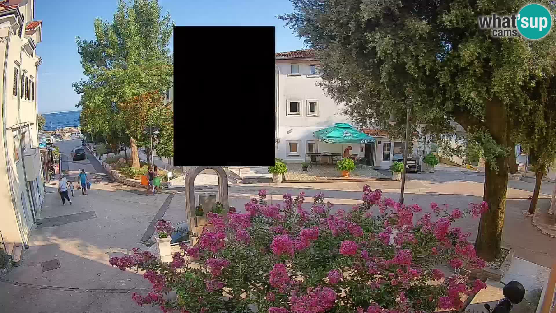 Webcam Centro Draga di Moschiena – Vista live sul centro