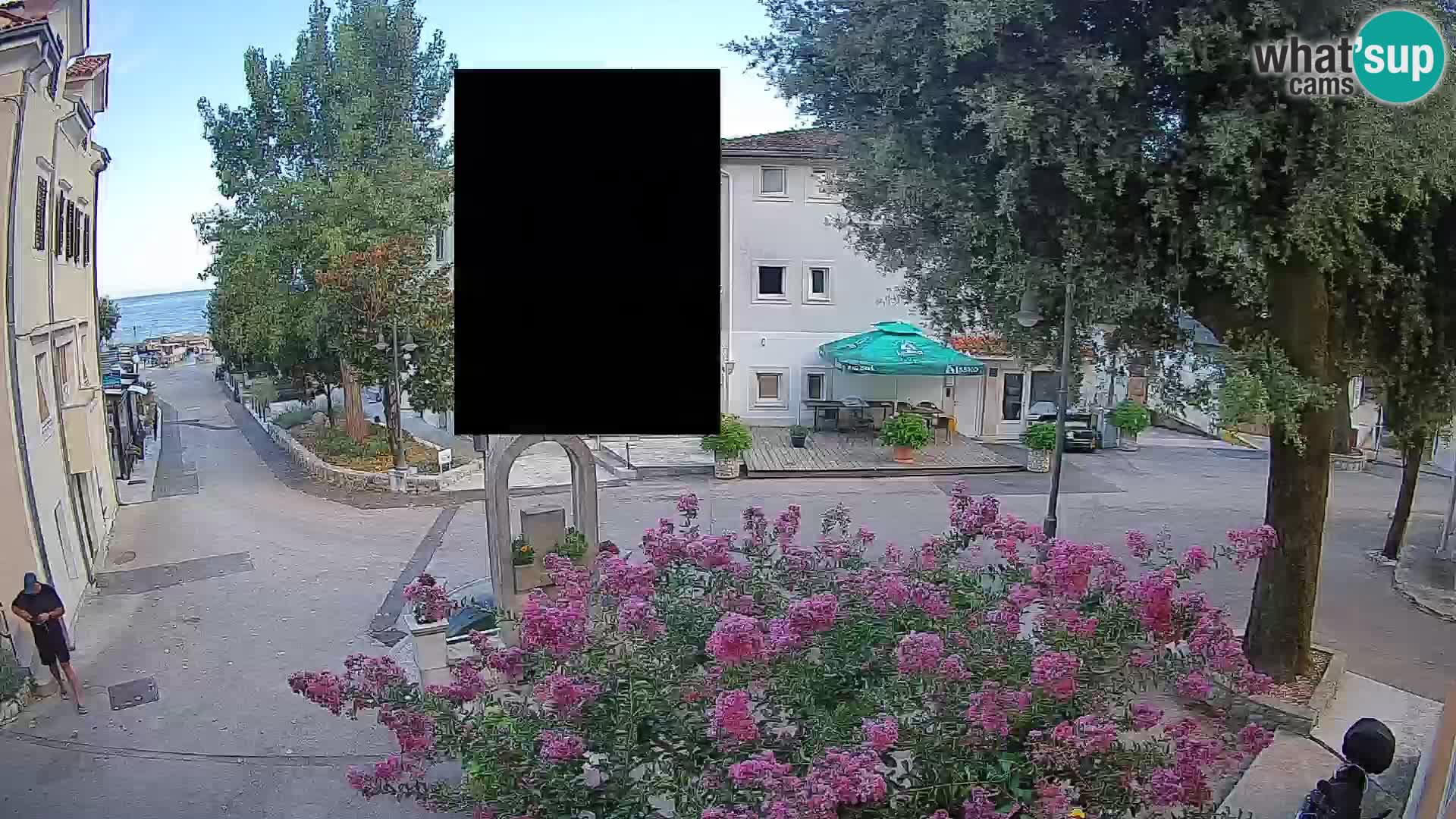 Webcam Centro Draga di Moschiena – Vista live sul centro