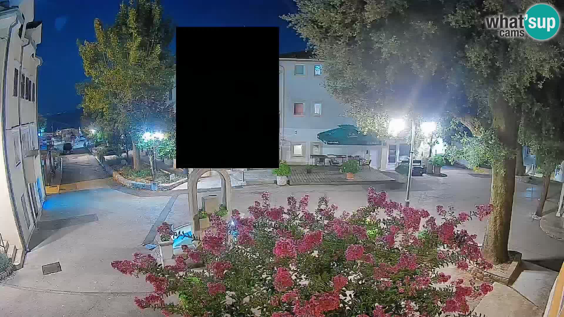 Webcam Centro Draga di Moschiena – Vista live sul centro