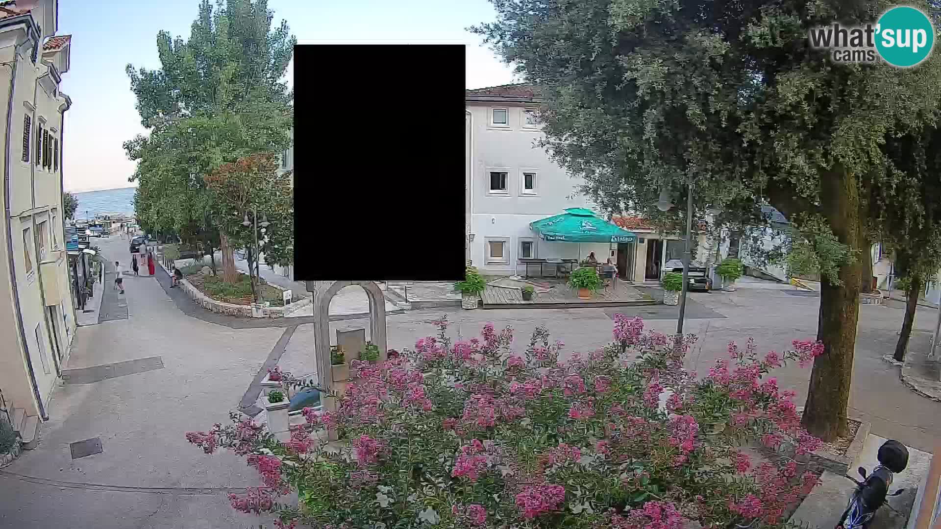 Webcam Centro Draga di Moschiena – Vista live sul centro