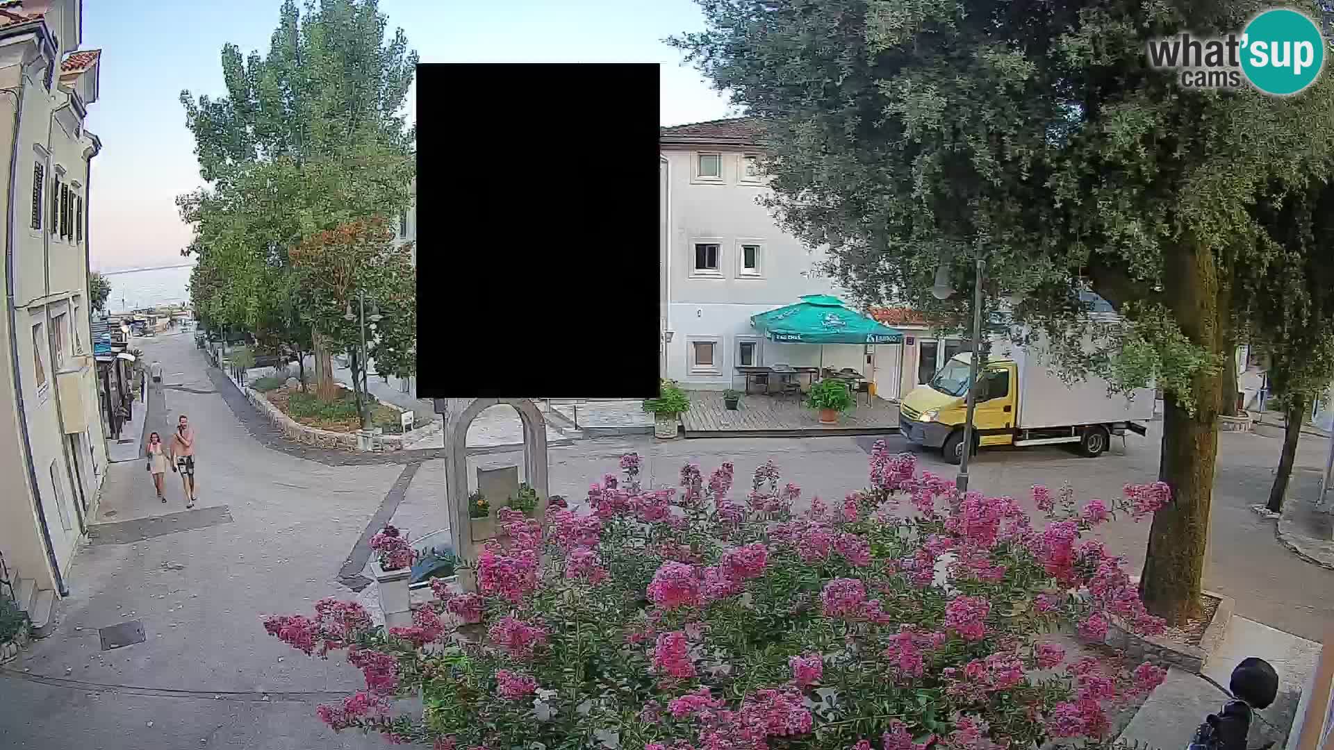 Webcam Centro Draga di Moschiena – Vista live sul centro
