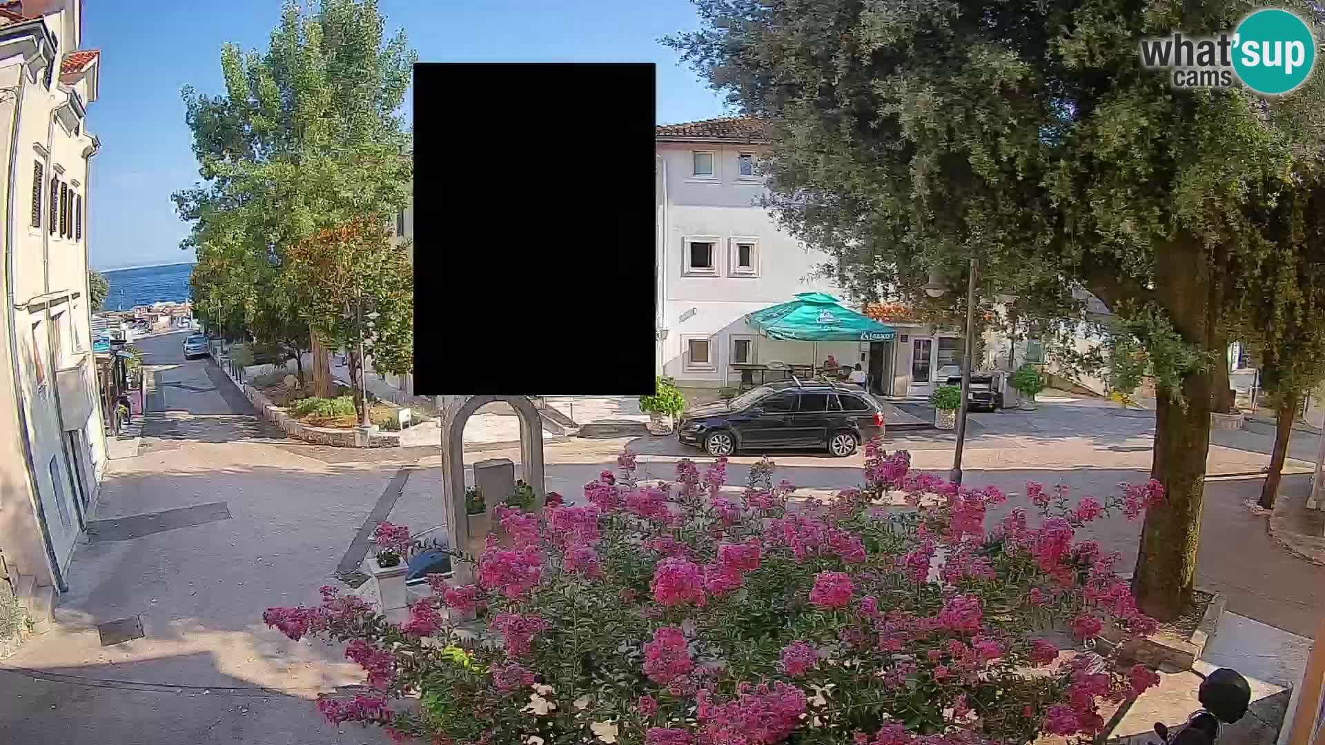 Webcam Centro Draga di Moschiena – Vista live sul centro