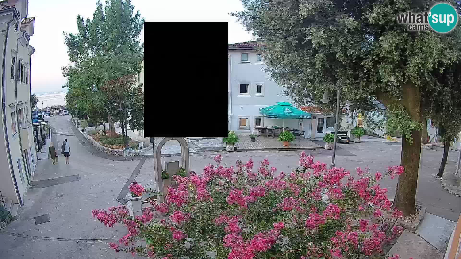Webcam Centro Draga di Moschiena – Vista live sul centro