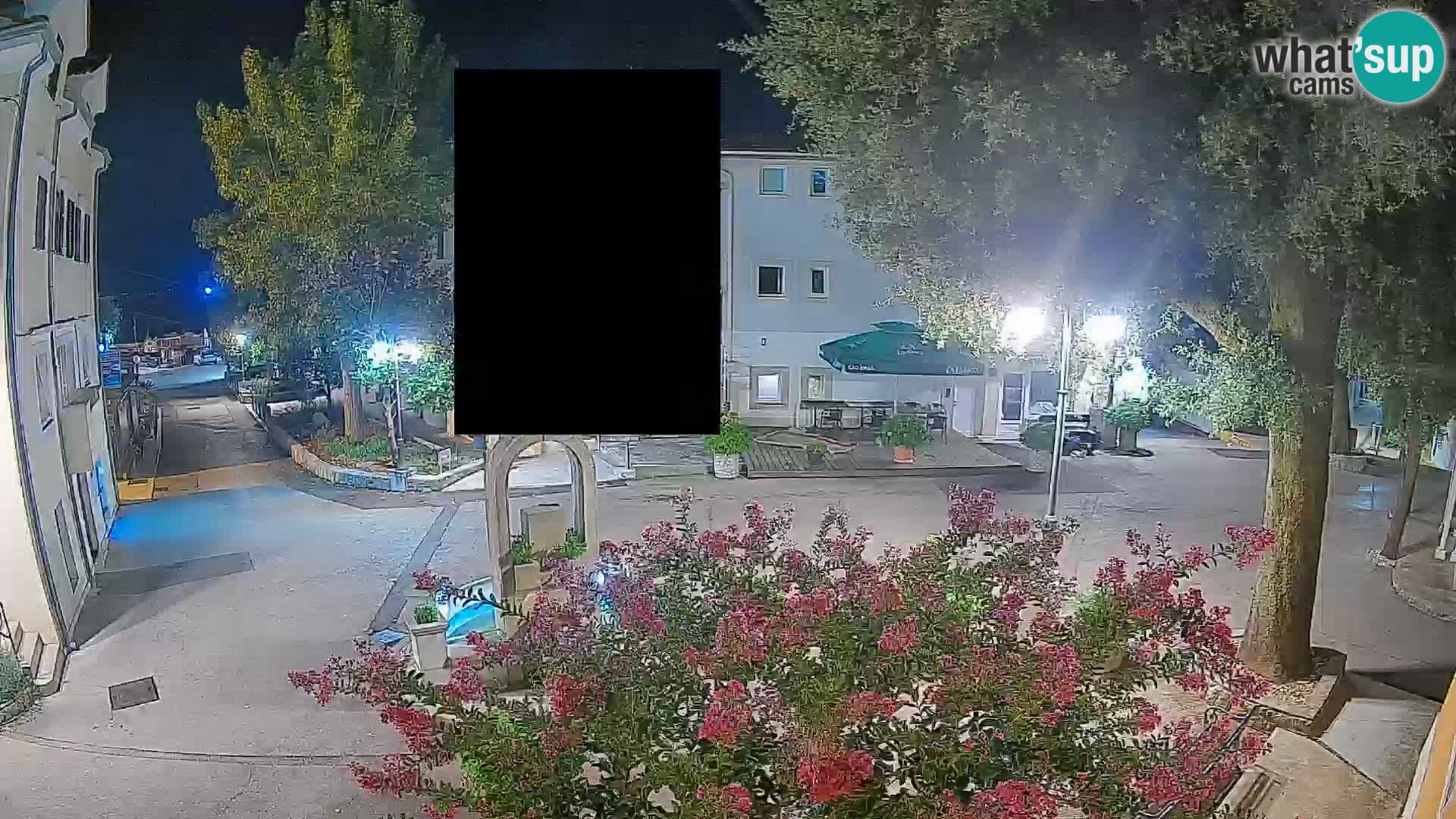 Webcam Centro Draga di Moschiena – Vista live sul centro