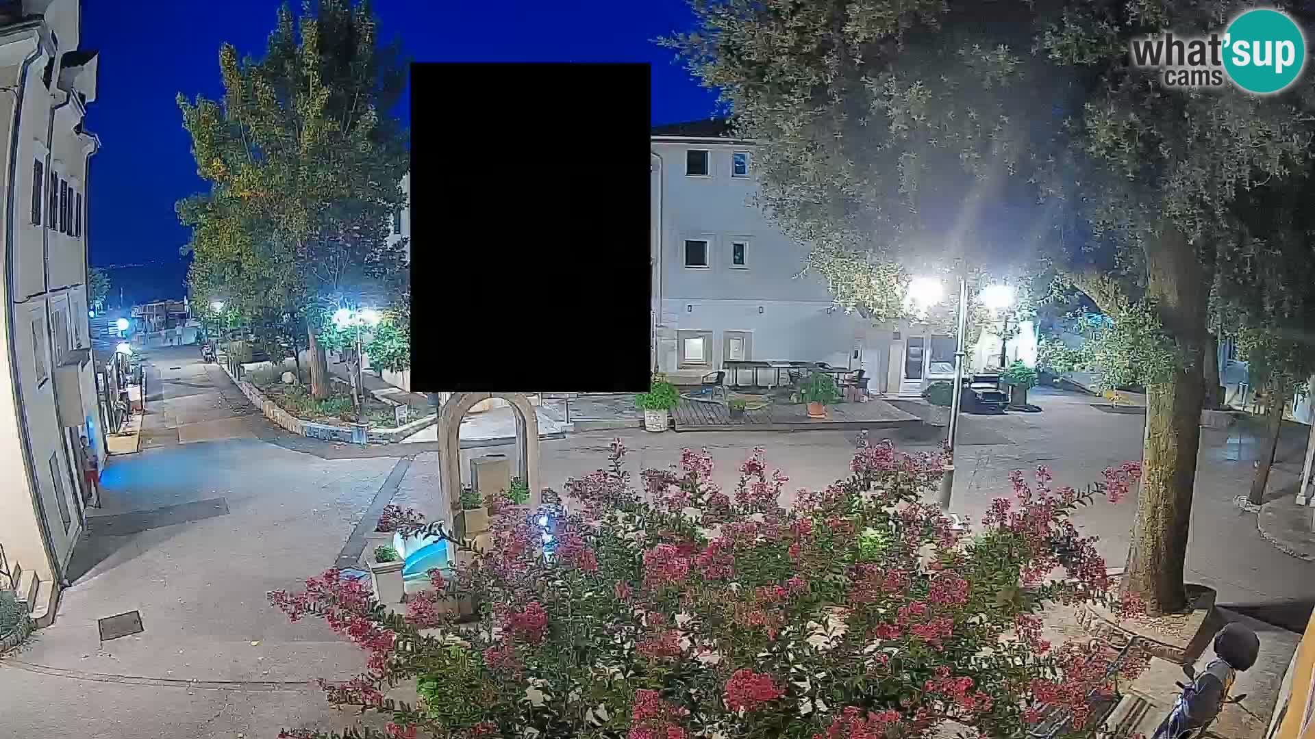 Webcam Centro Draga di Moschiena – Vista live sul centro