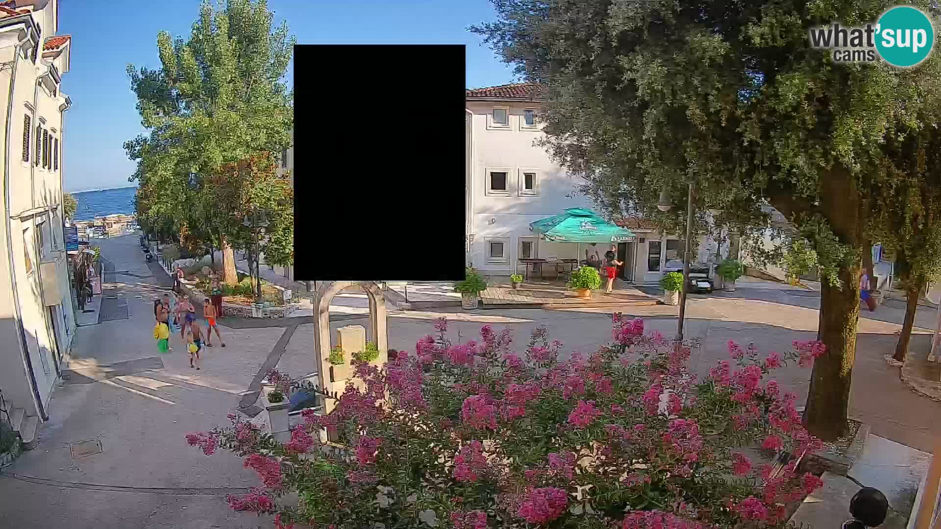 Webcam Centro Draga di Moschiena – Vista live sul centro