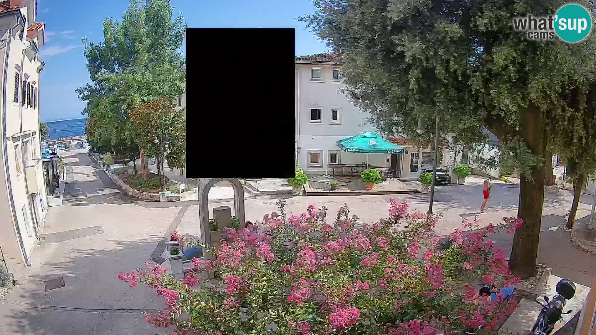 Webcam Centro Draga di Moschiena – Vista live sul centro