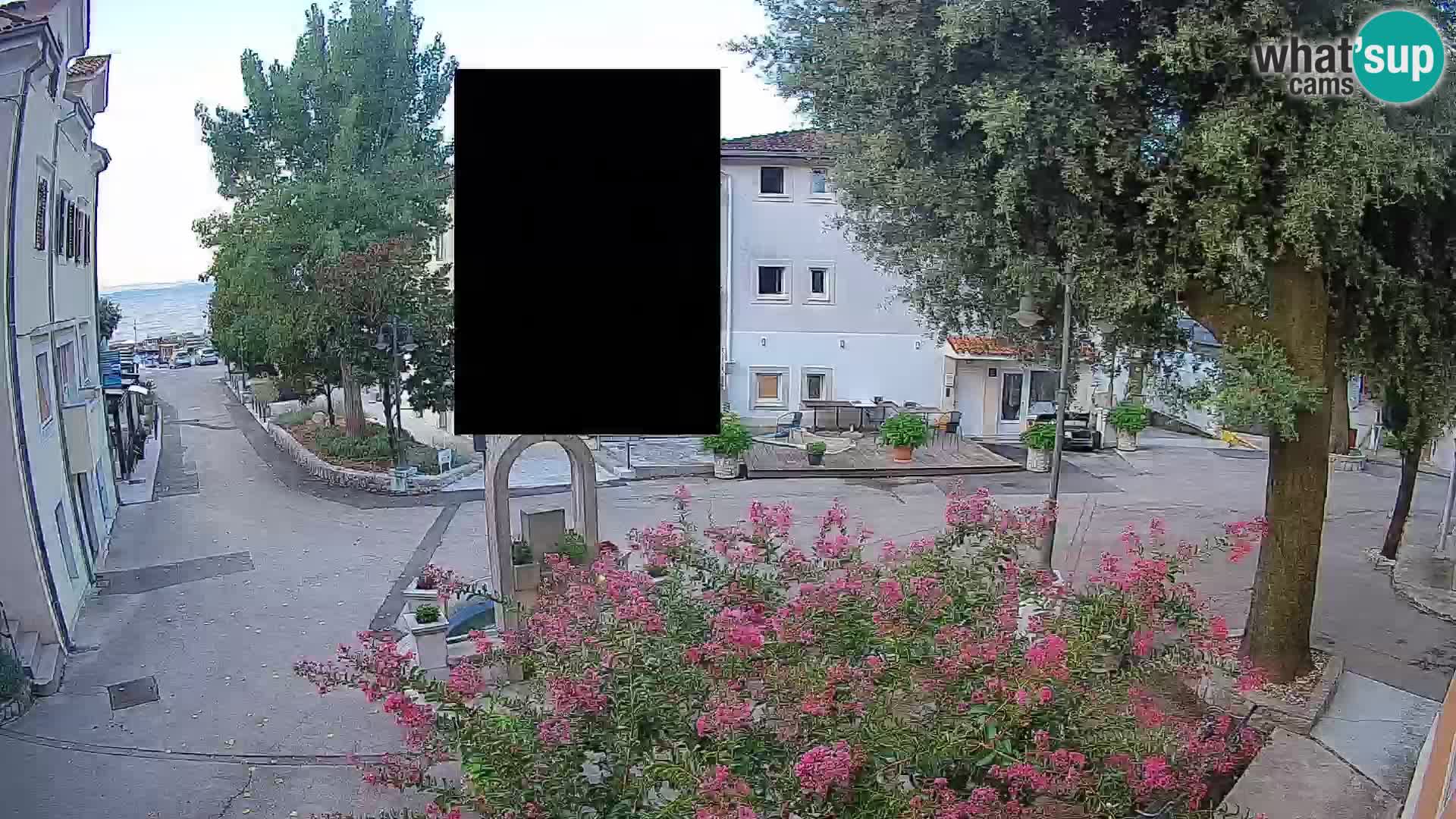 Webcam Centro Draga di Moschiena – Vista live sul centro