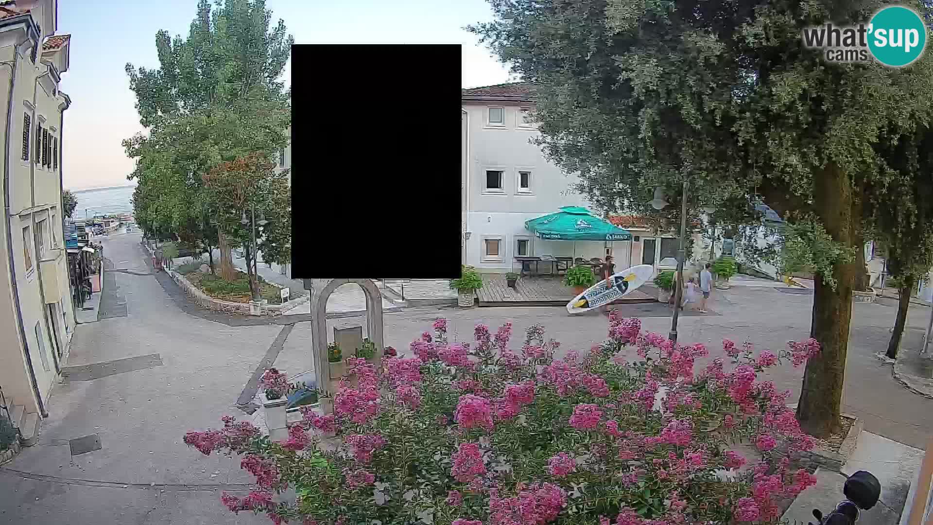 Webcam Centro Draga di Moschiena – Vista live sul centro