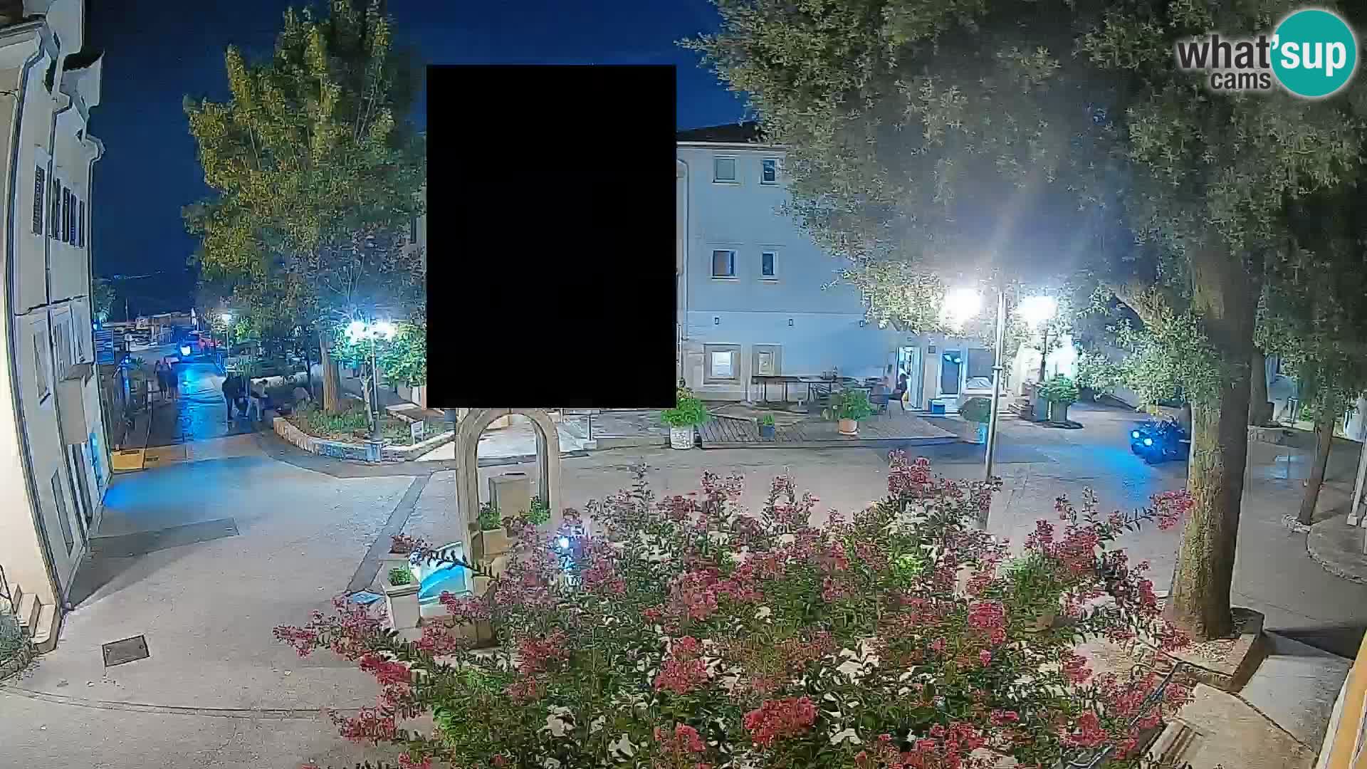 Webcam Centro Draga di Moschiena – Vista live sul centro