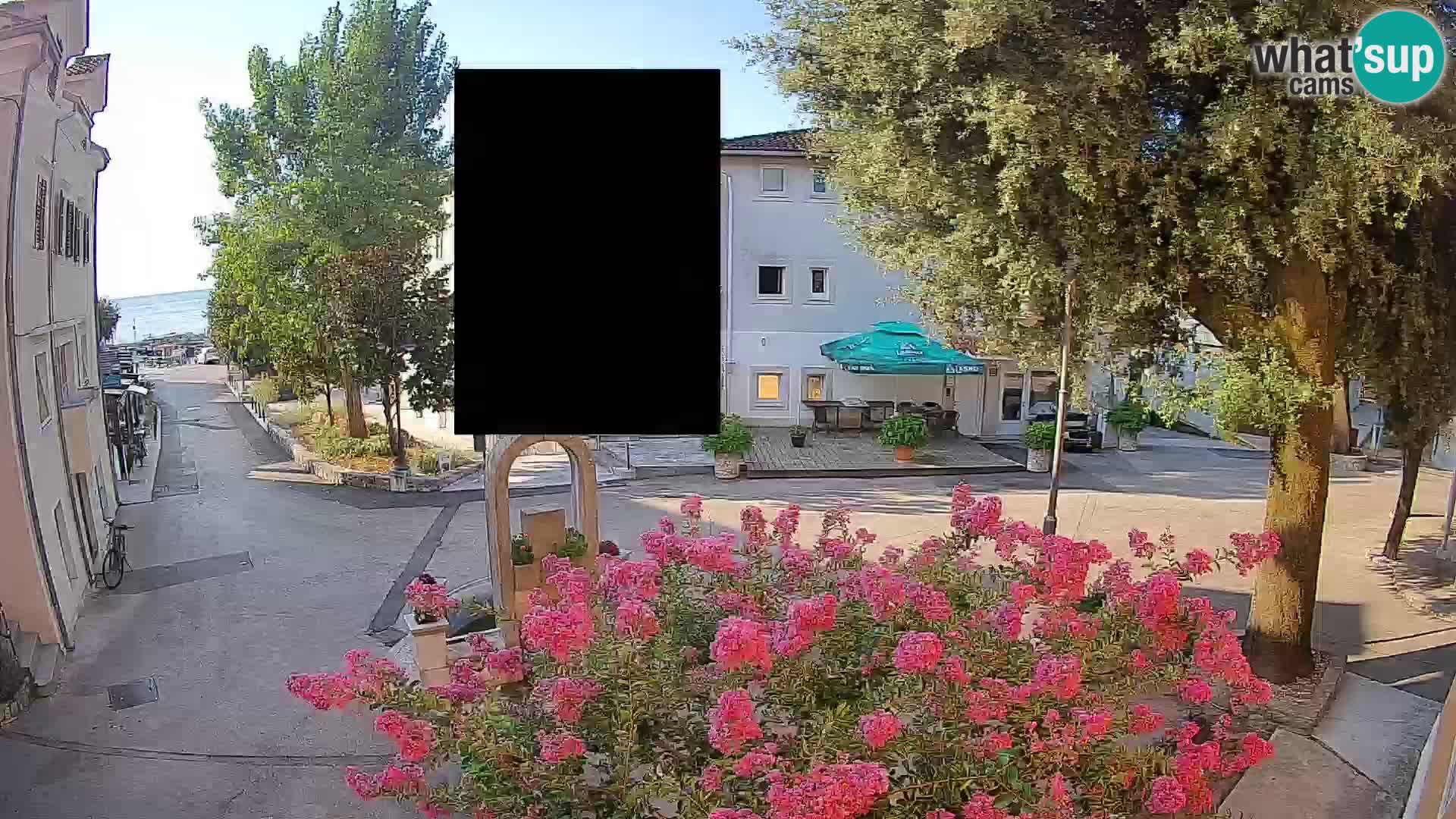 Webcam Centro Draga di Moschiena – Vista live sul centro