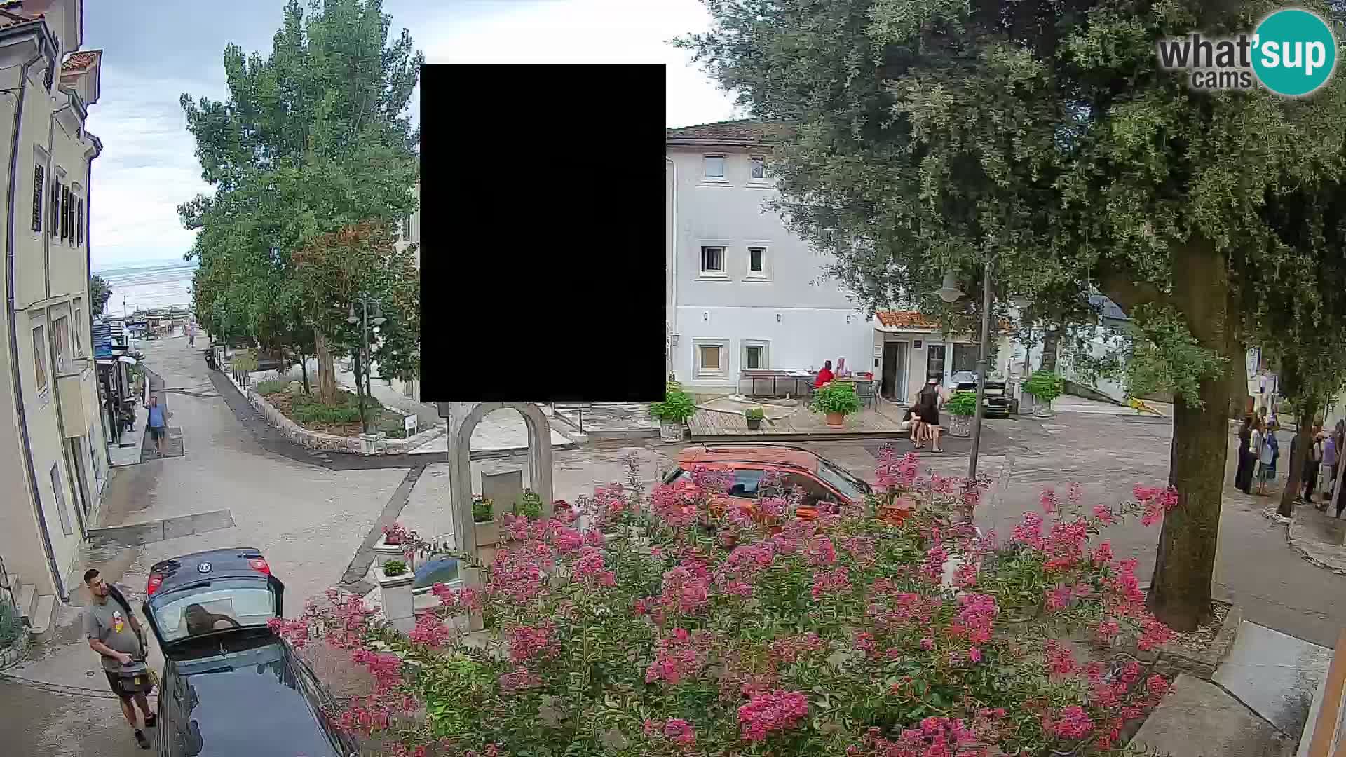 Webcam Centro Draga di Moschiena – Vista live sul centro
