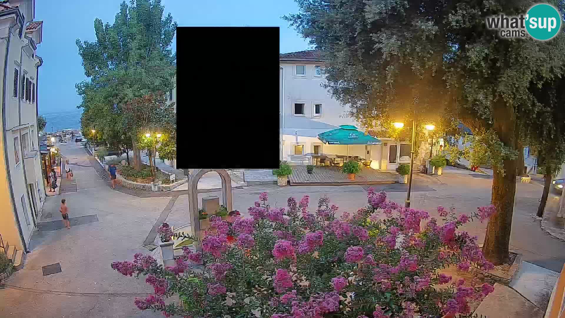 Webcam Centro Draga di Moschiena – Vista live sul centro