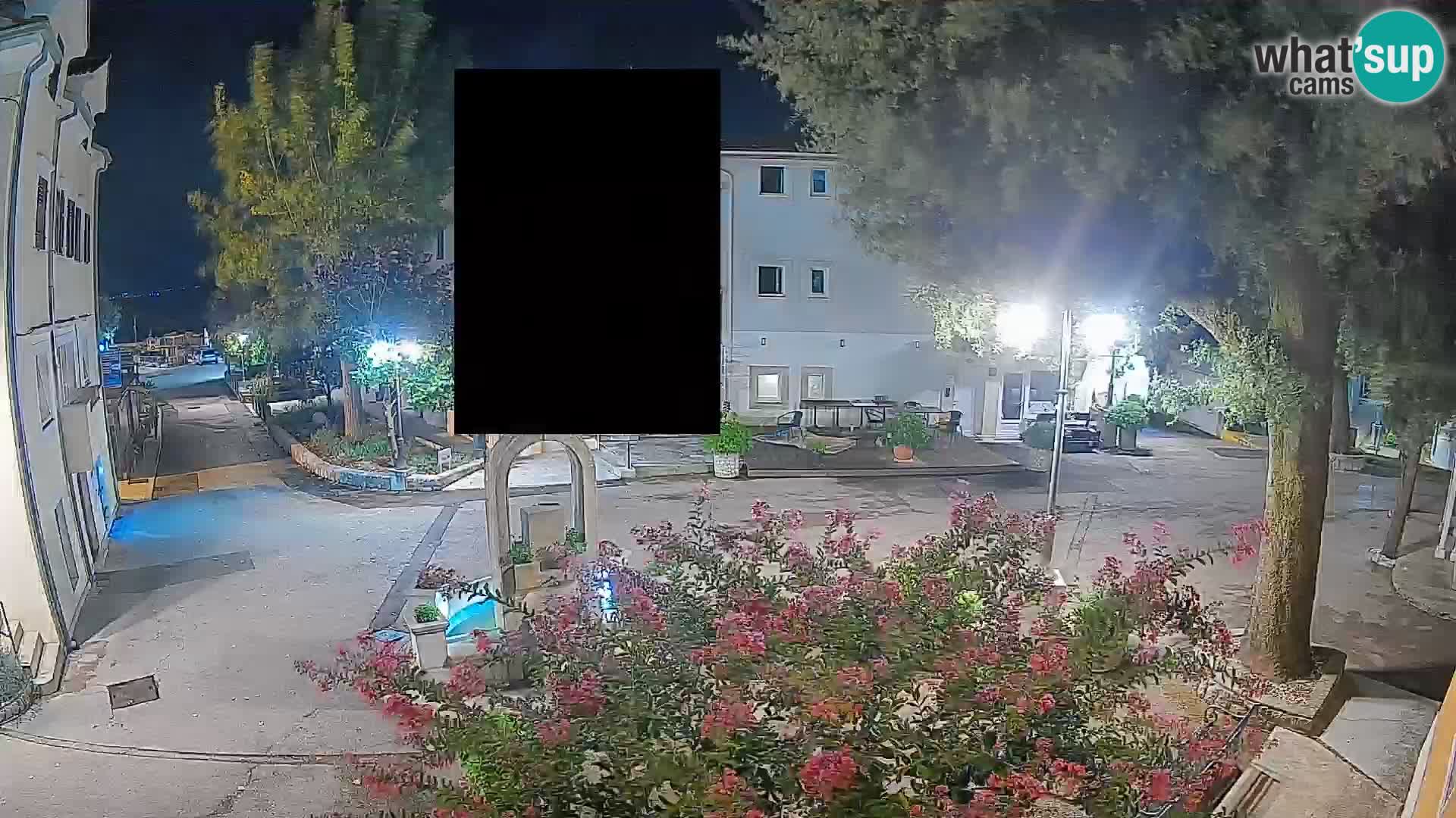 Webcam Centro Draga di Moschiena – Vista live sul centro