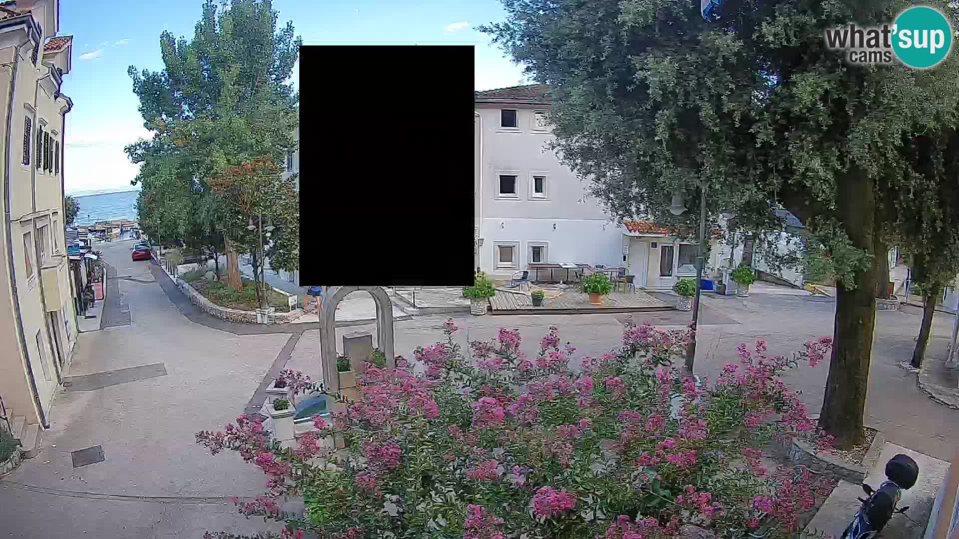 Webcam Centro Draga di Moschiena – Vista live sul centro