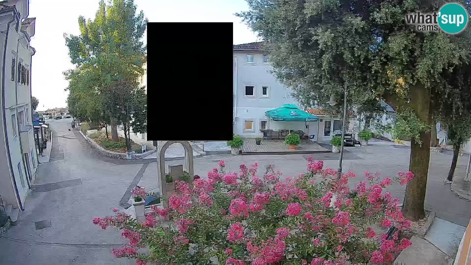 Webcam Centro Draga di Moschiena – Vista live sul centro