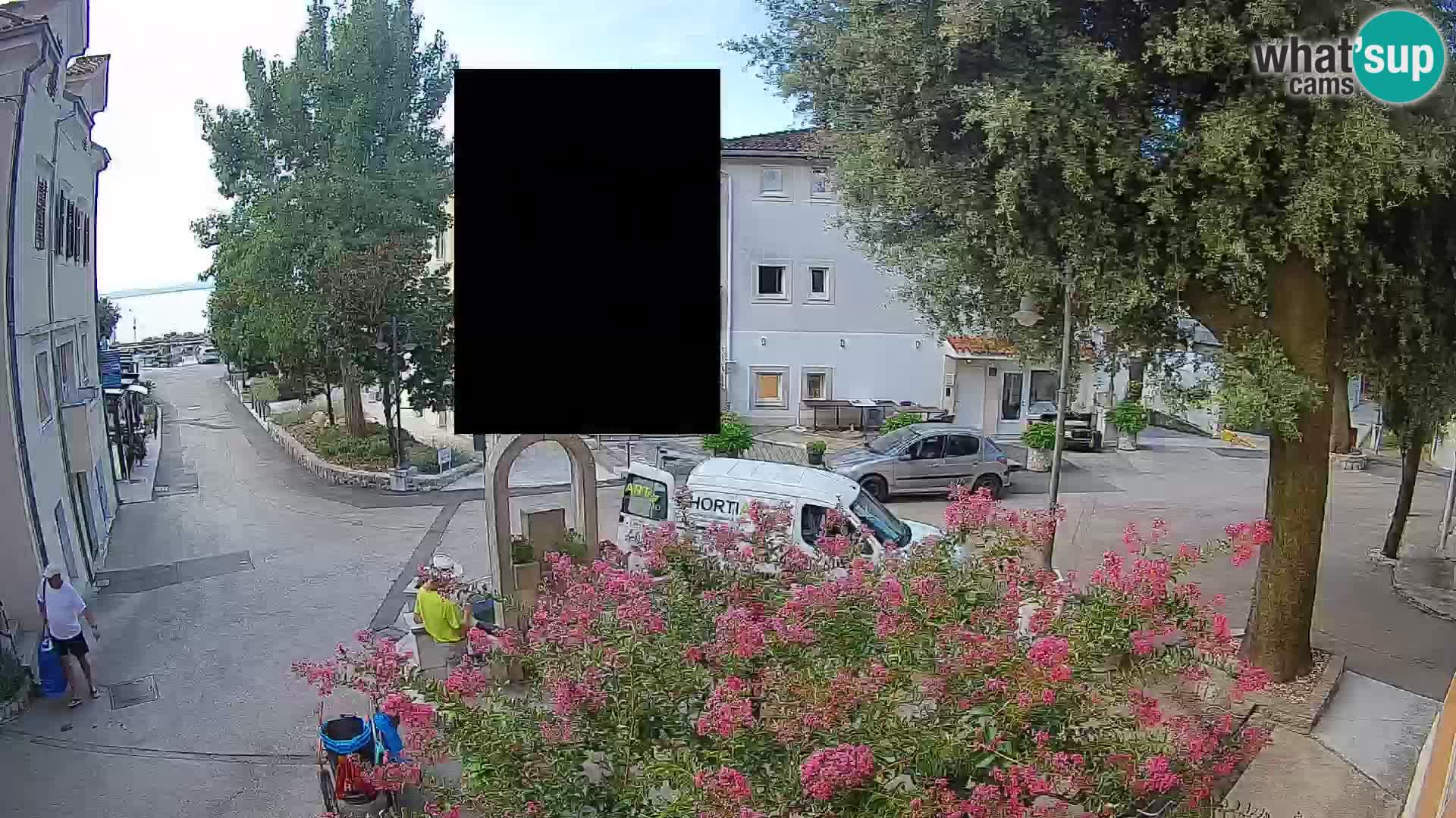 Webcam Centro Draga di Moschiena – Vista live sul centro