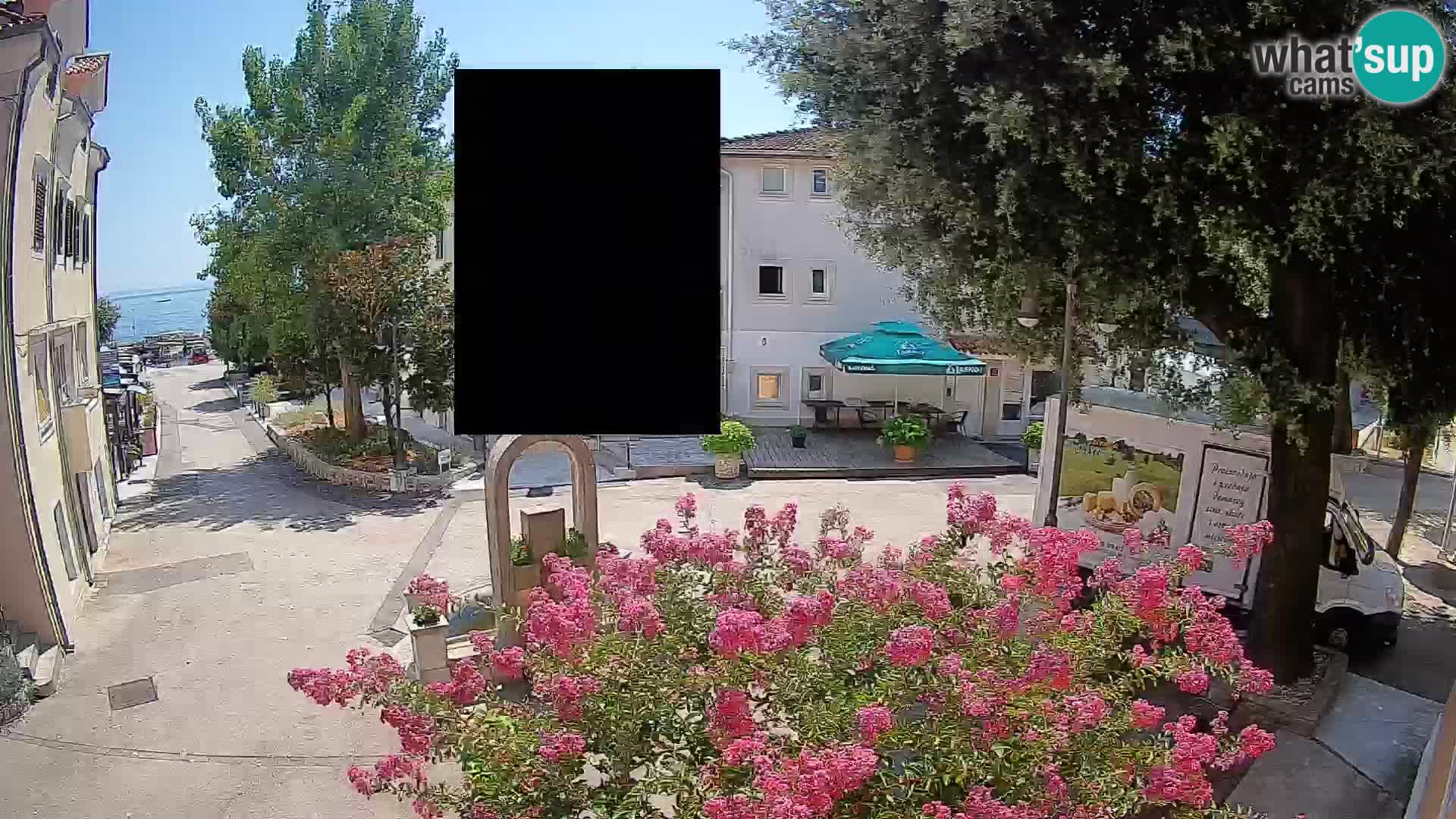 Webcam Centro Draga di Moschiena – Vista live sul centro