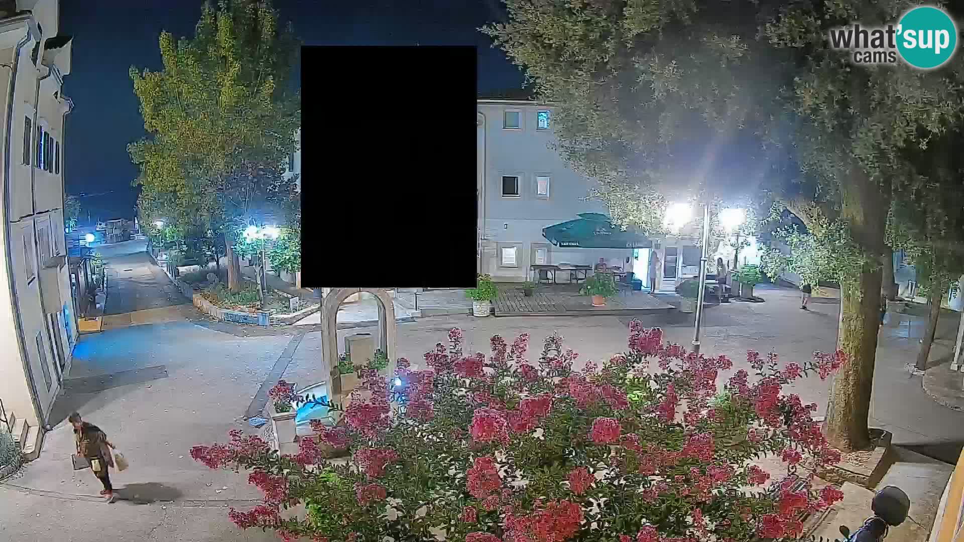 Webcam Centro Draga di Moschiena – Vista live sul centro