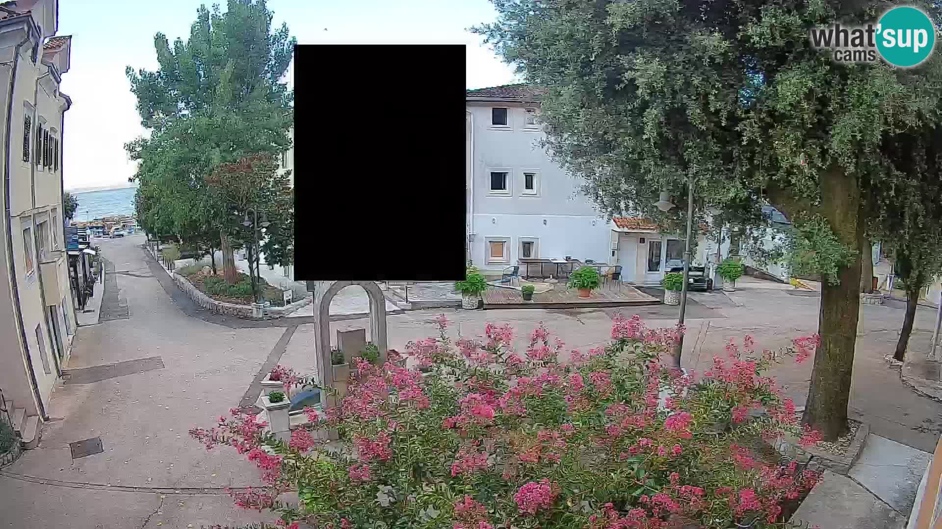 Webcam Centro Draga di Moschiena – Vista live sul centro