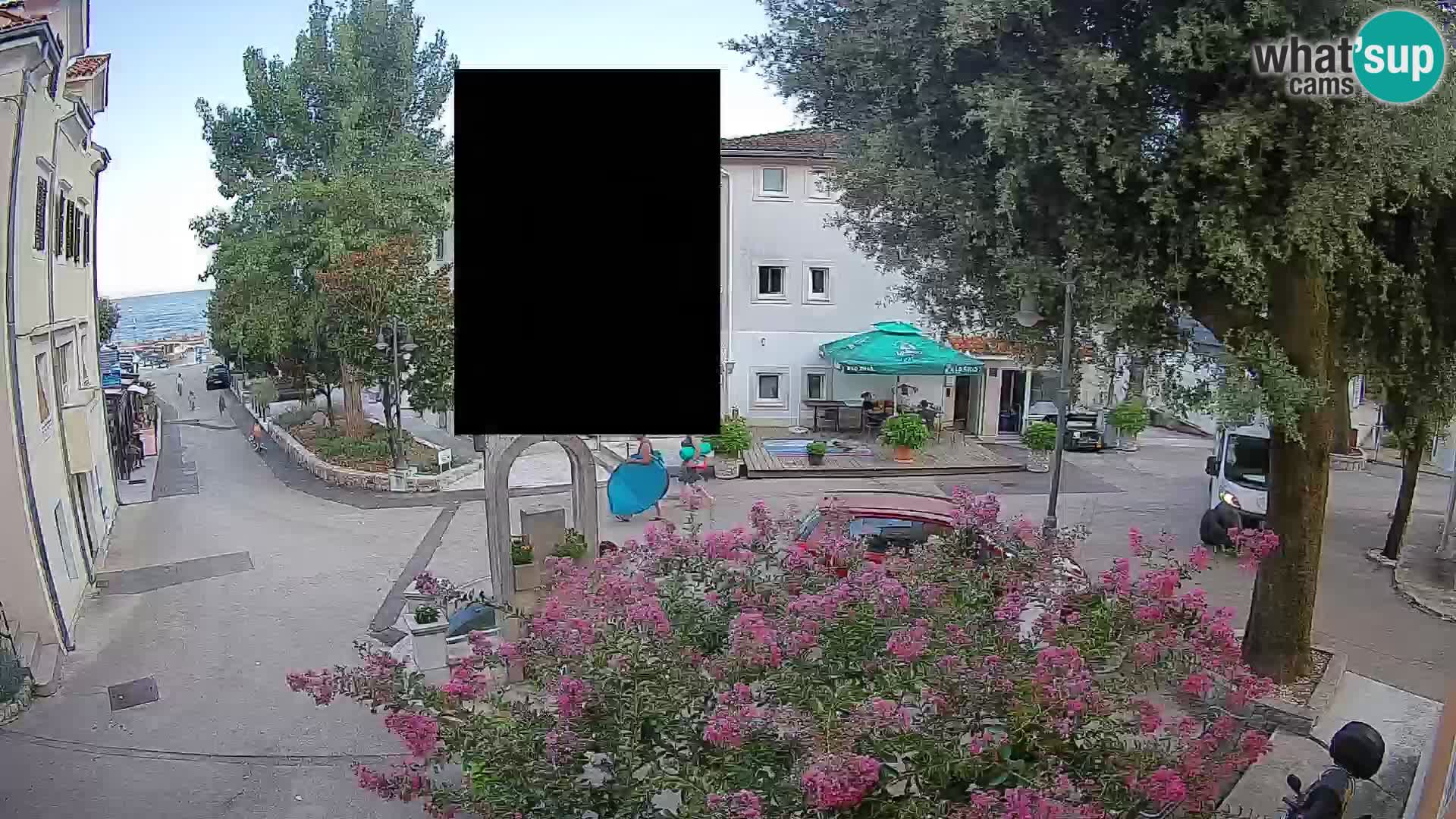 Webcam Centro Draga di Moschiena – Vista live sul centro