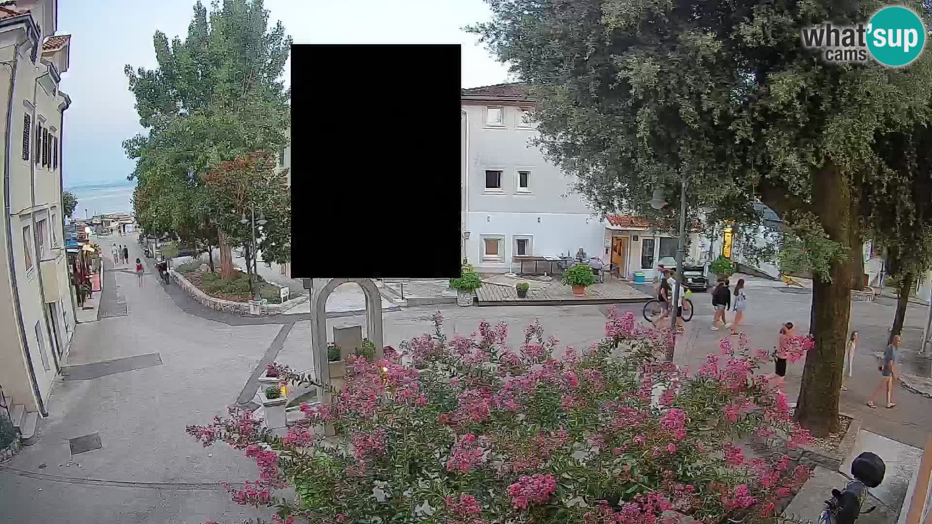 Web kamera centar Mošćeničke Drage – Pogled uživo