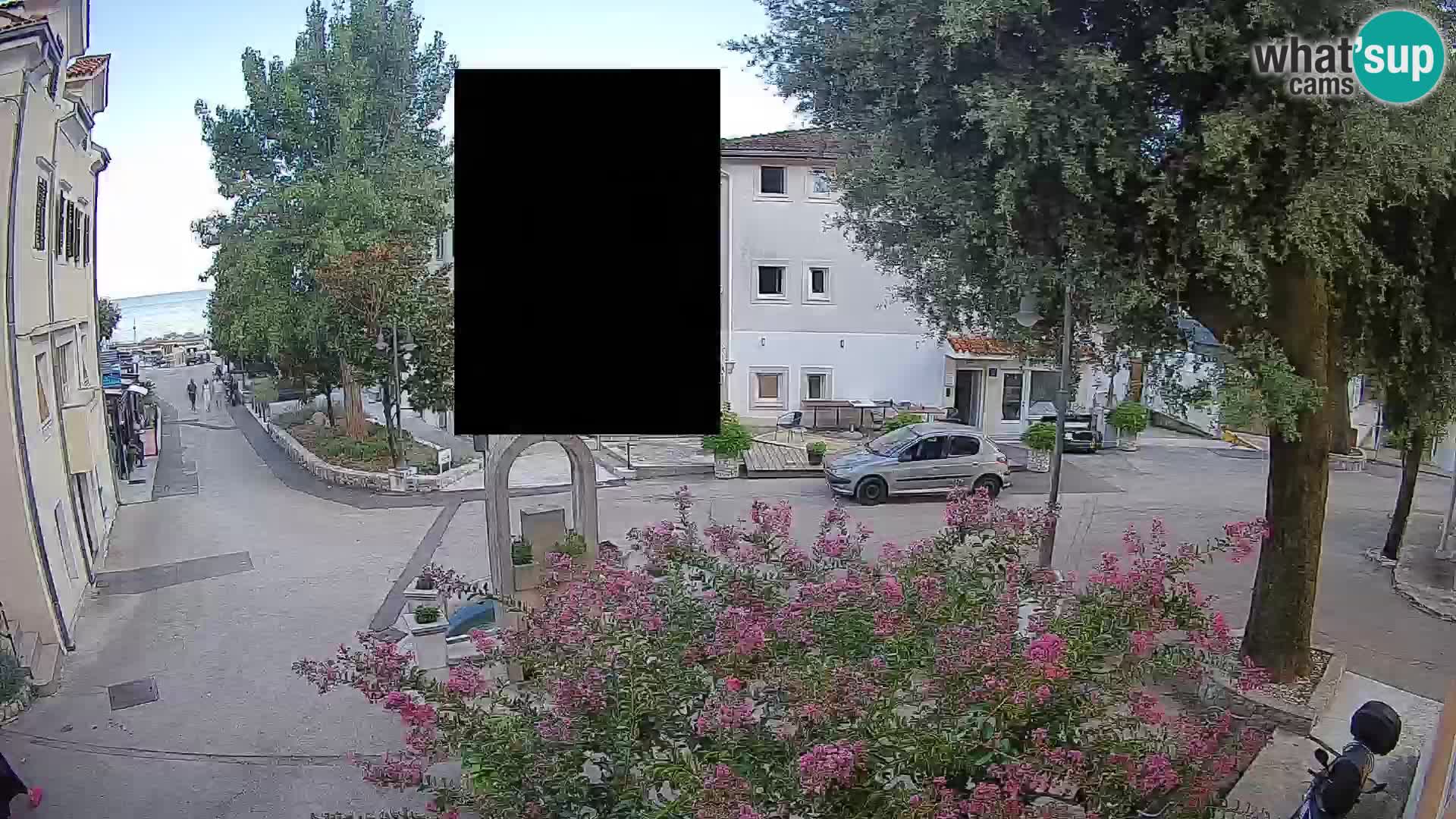 Webcam Centro Draga di Moschiena – Vista live sul centro