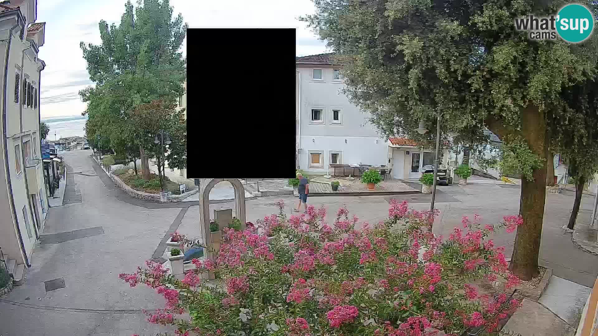 Webcam Centro Draga di Moschiena – Vista live sul centro