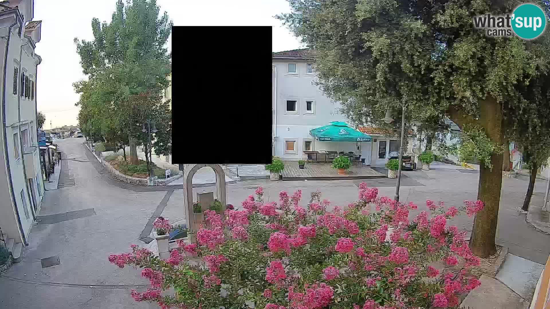 Webcam Centro Draga di Moschiena – Vista live sul centro