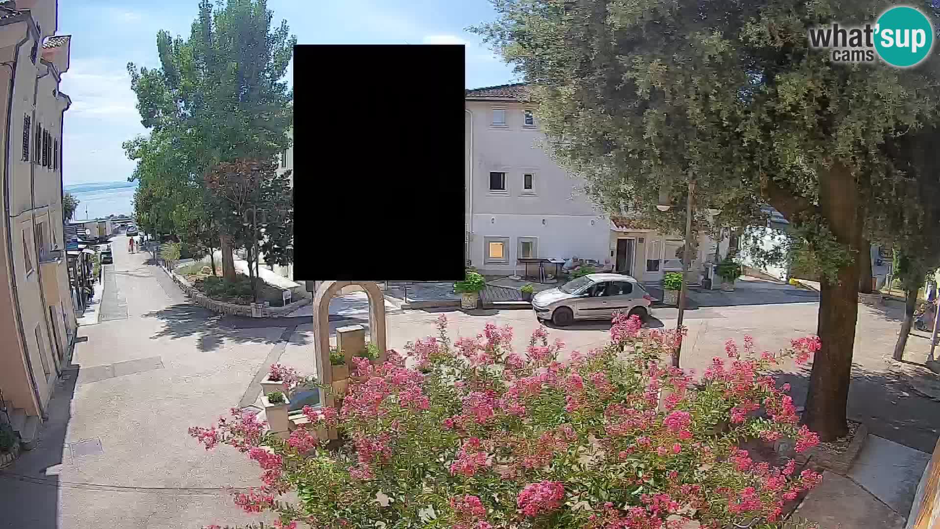 Webcam Centro Draga di Moschiena – Vista live sul centro