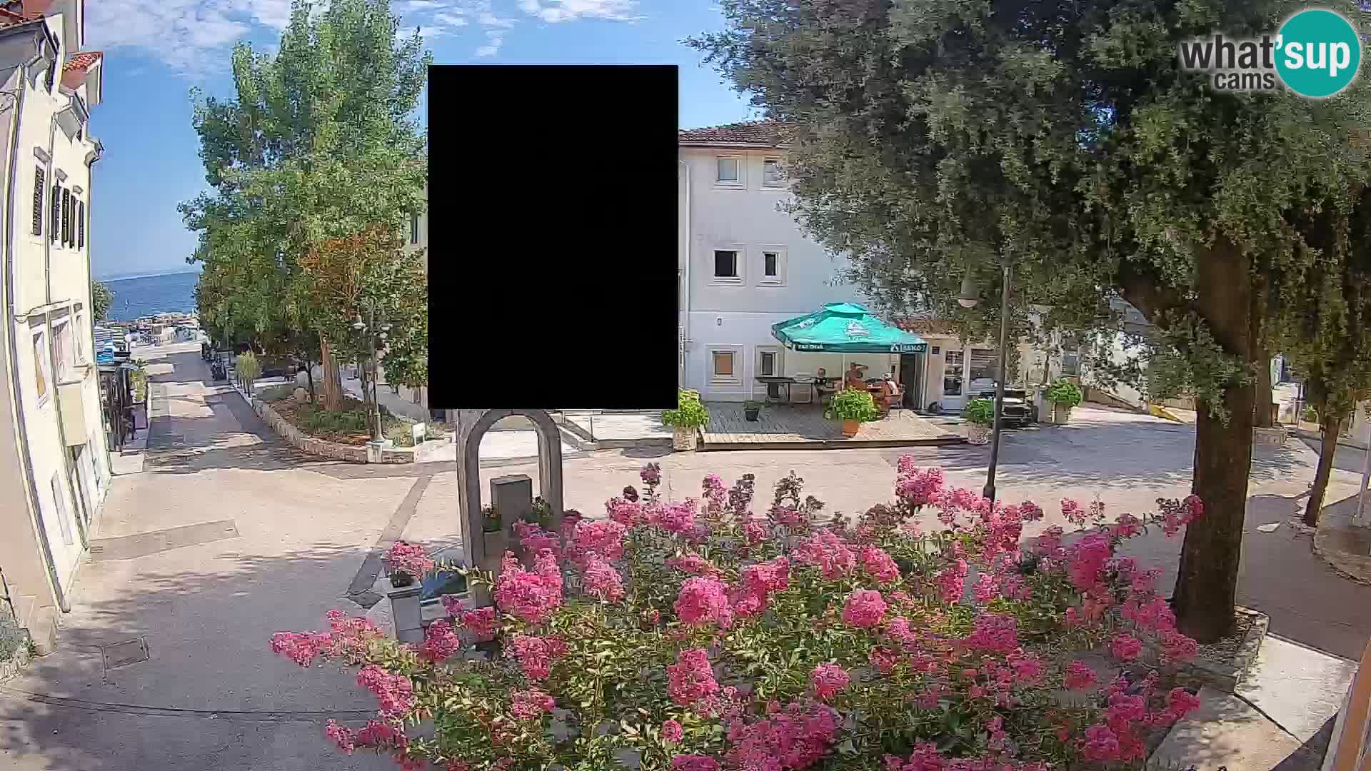 Webcam Centro Draga di Moschiena – Vista live sul centro