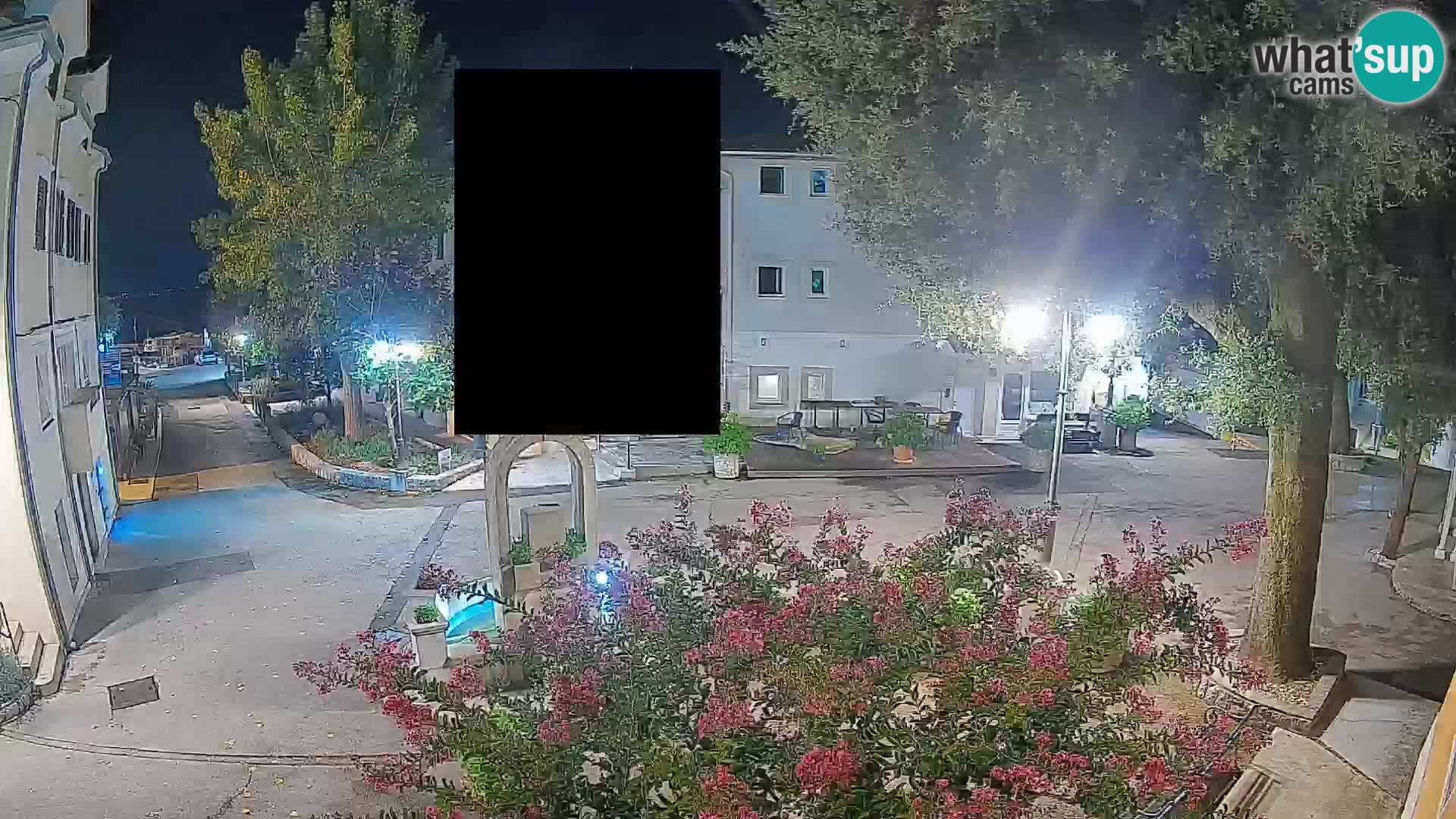 Webcam Centro Draga di Moschiena – Vista live sul centro