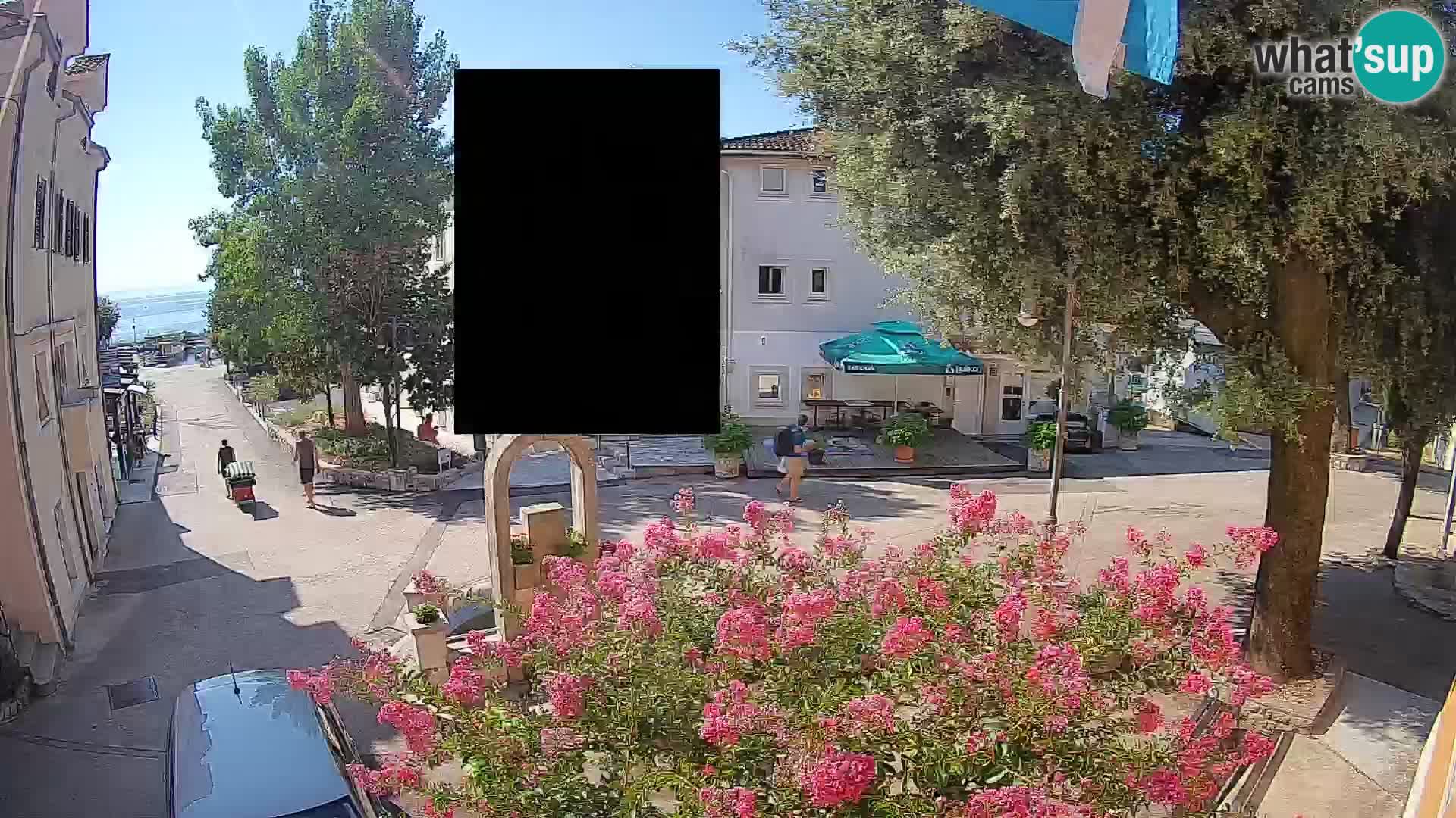 Webcam Centro Draga di Moschiena – Vista live sul centro