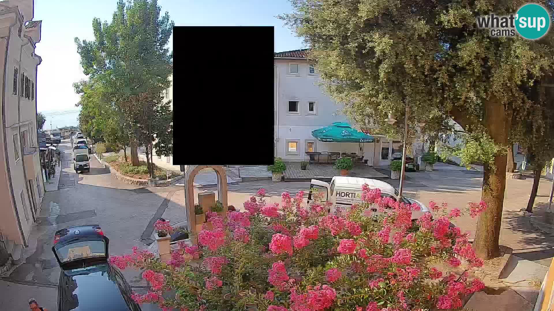 Webcam Centro Draga di Moschiena – Vista live sul centro