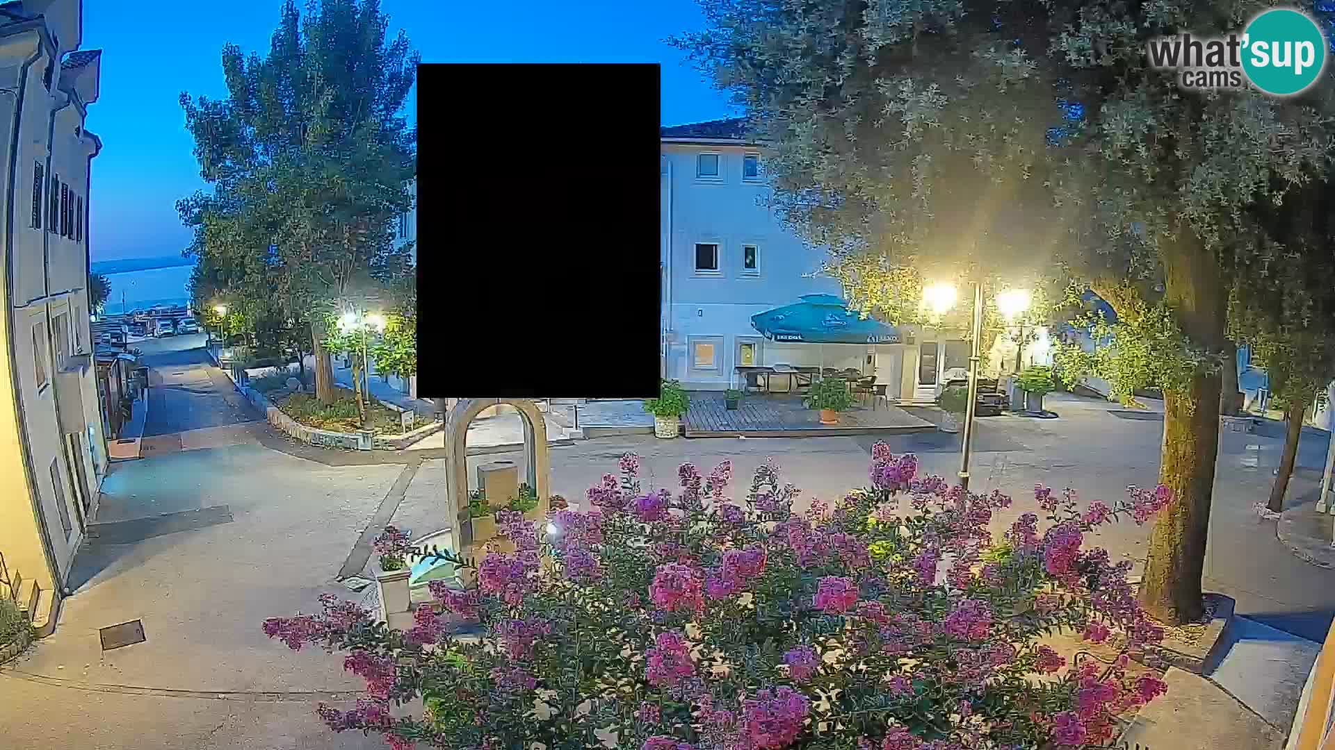 Webcam Centro Draga di Moschiena – Vista live sul centro